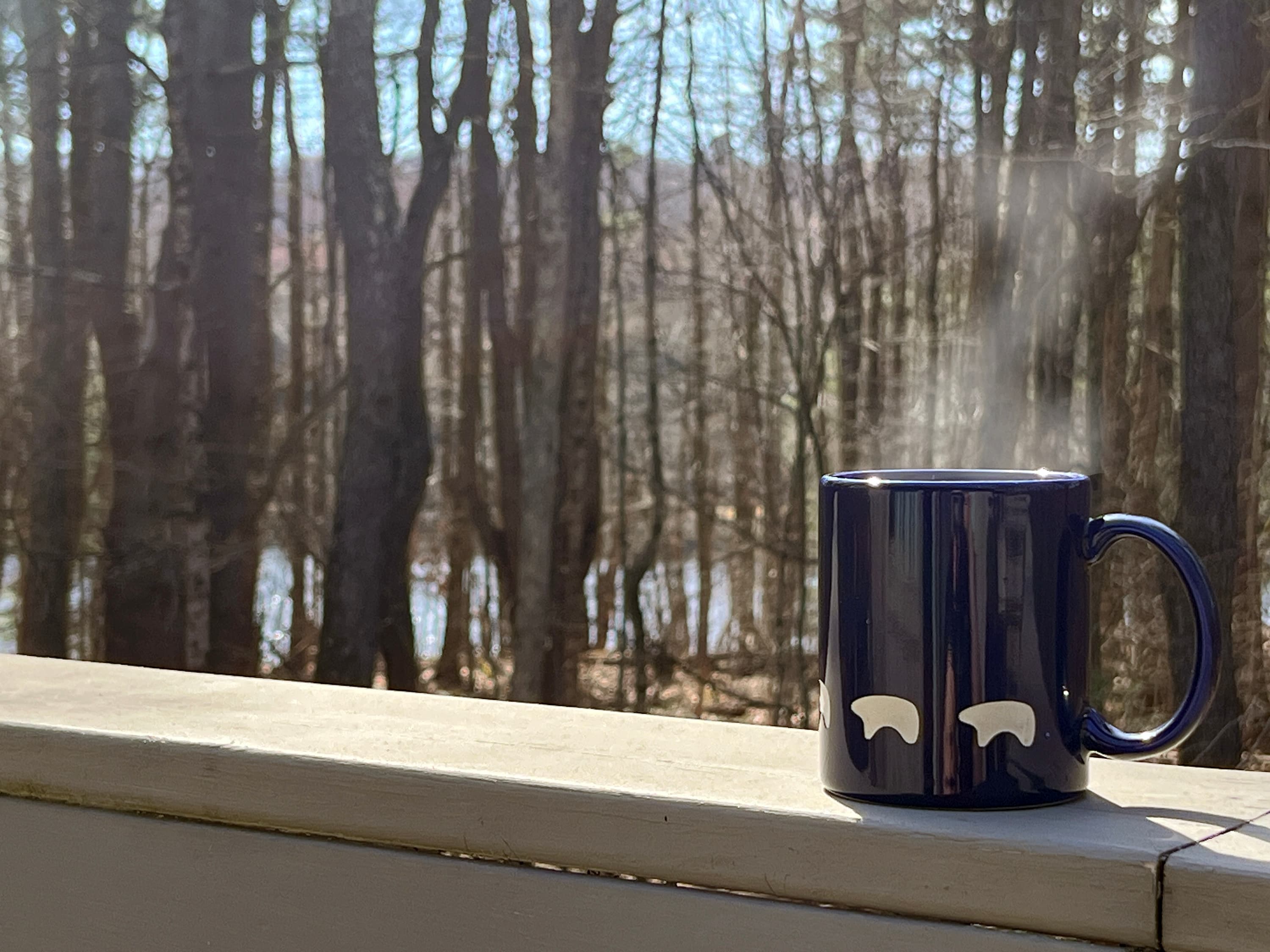Have a cup of tea overlooking the pond