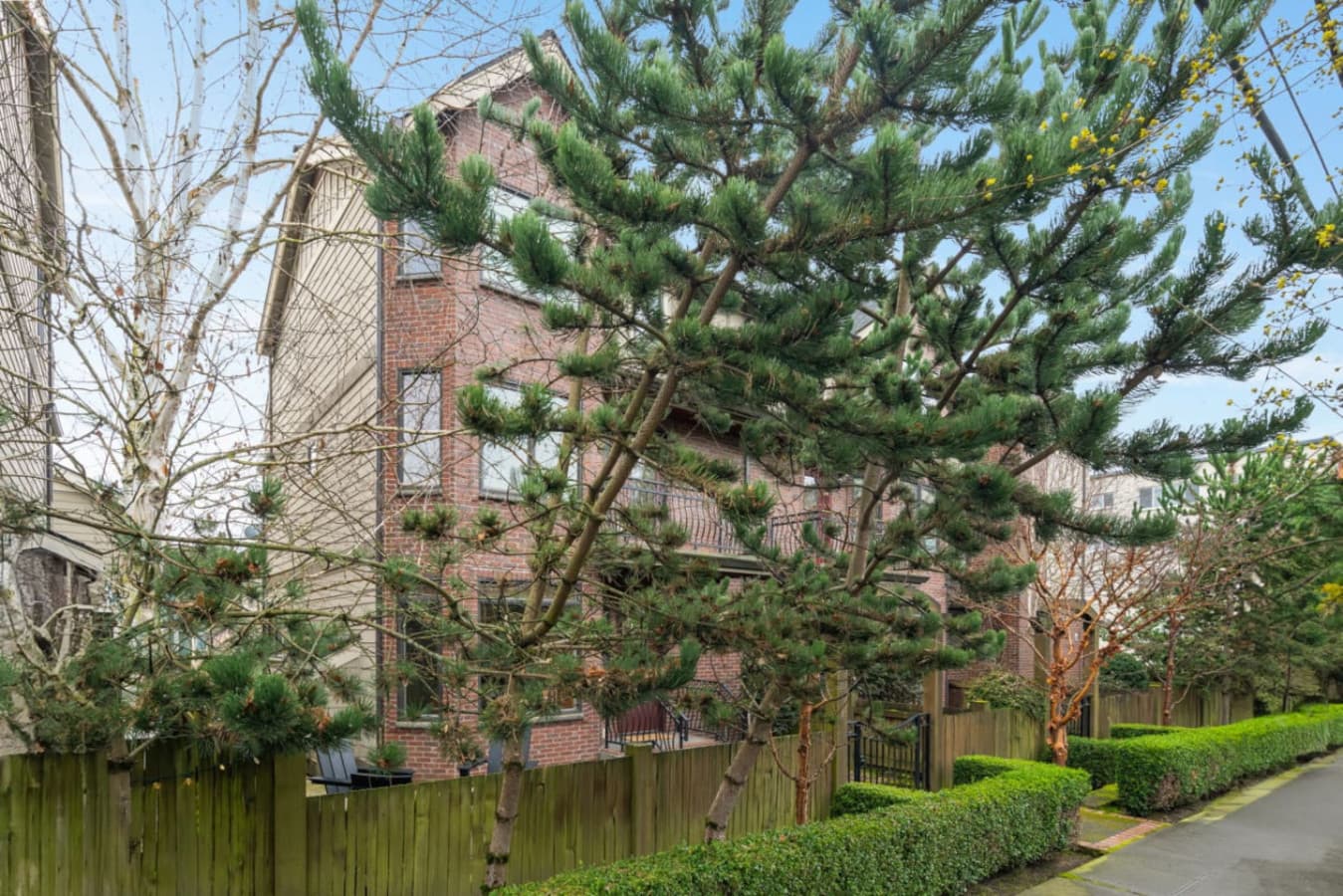 The tree-lined entrance with pine trees—after all, we are located in the Emerald City. ✨