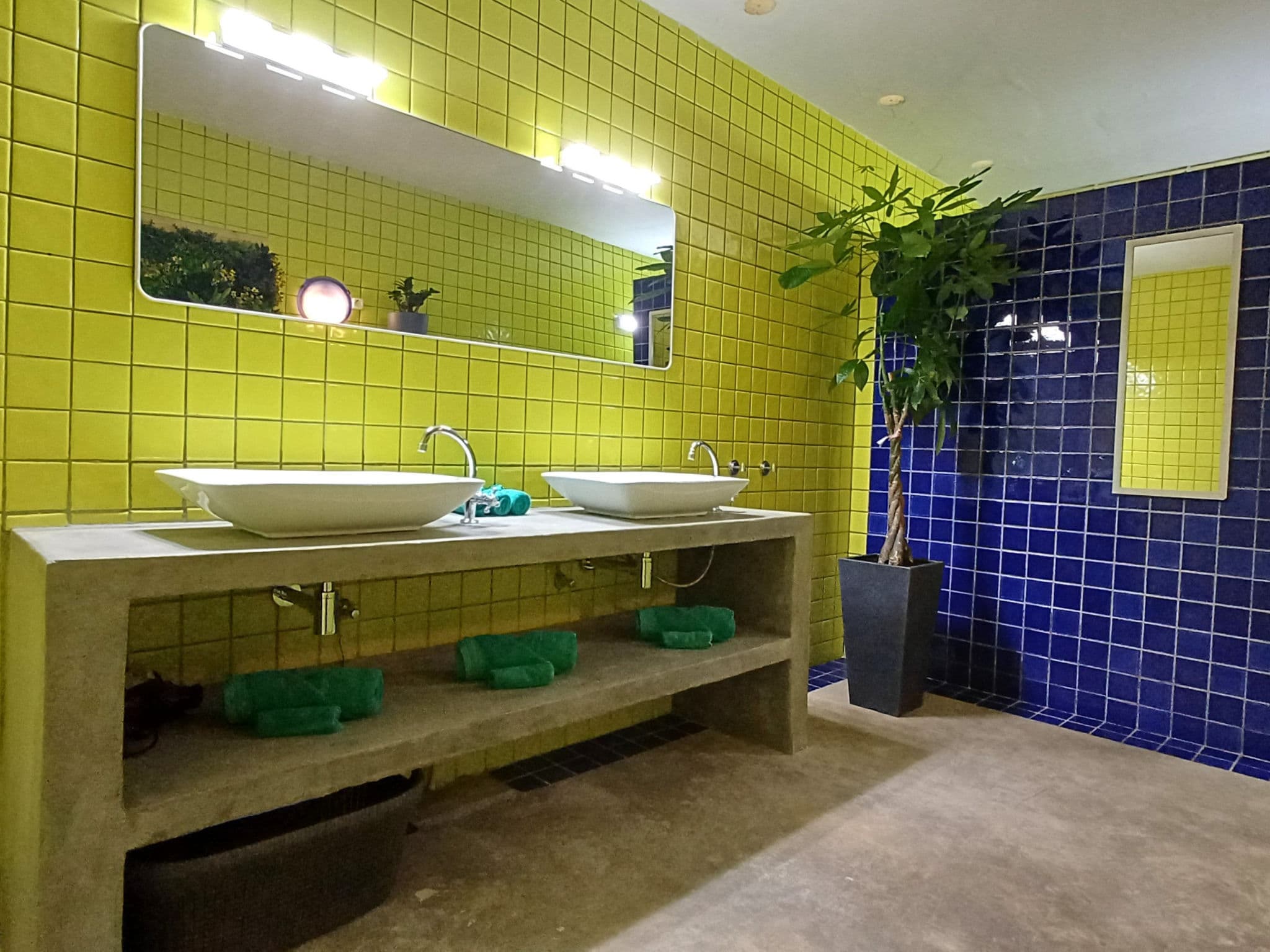 Bathroom / Wellness