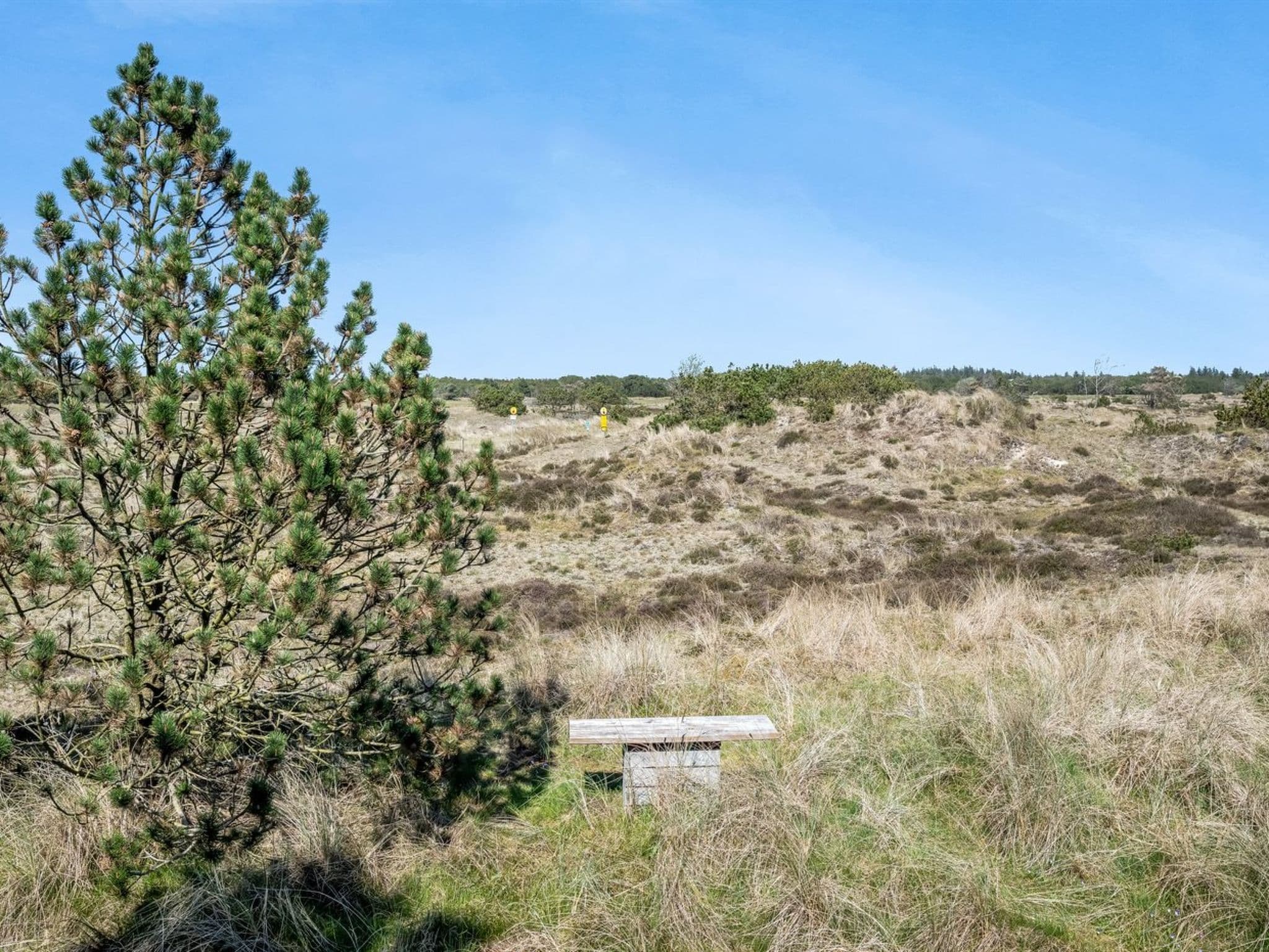 Place