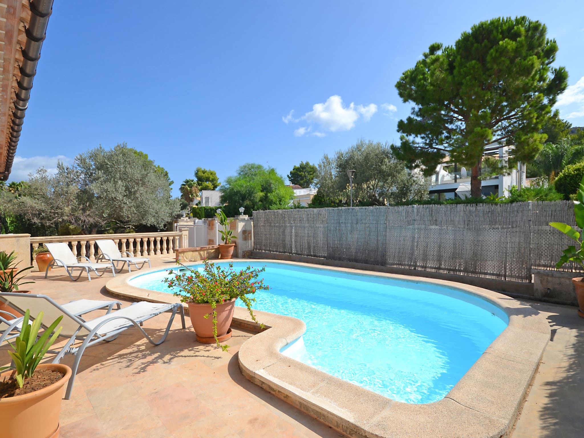Pool Outdoor