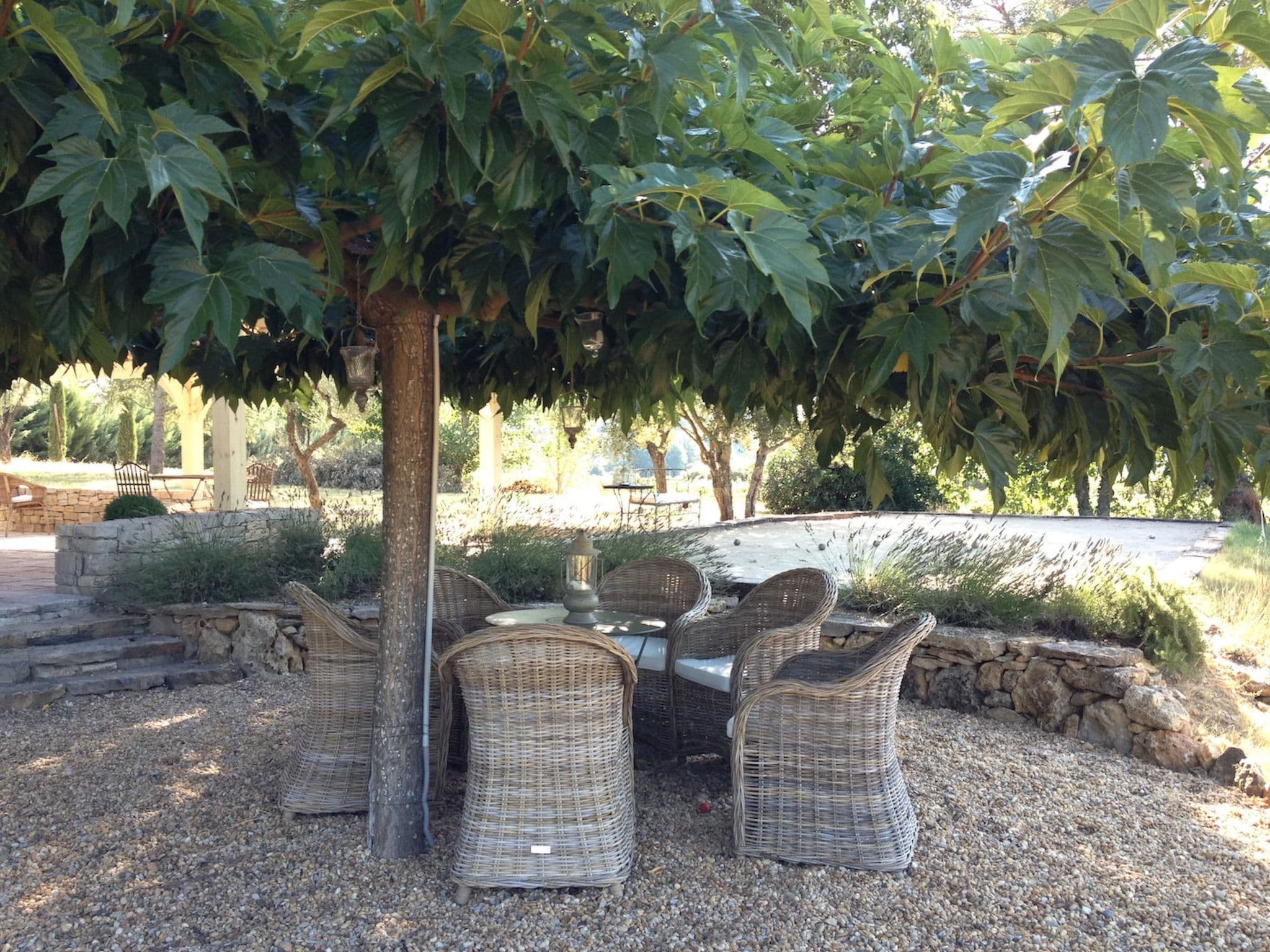 Terrace