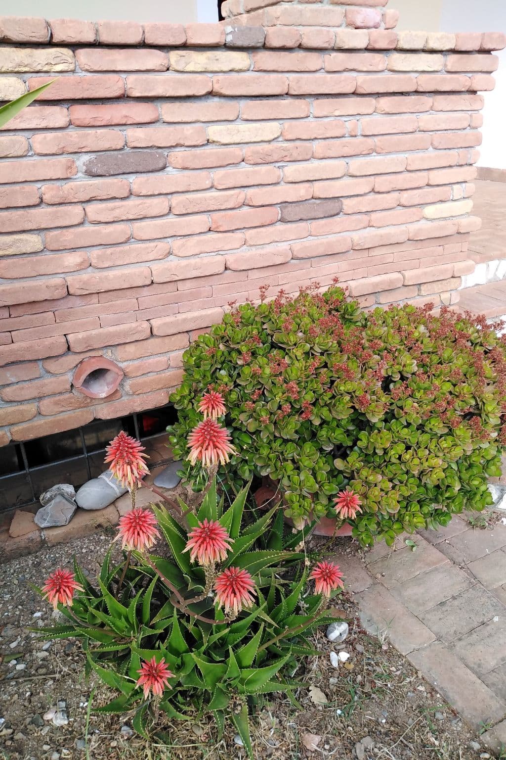 Gallery Image 35