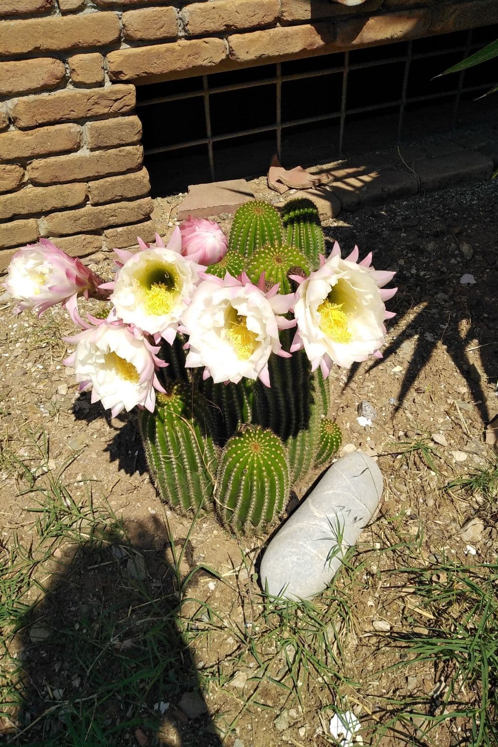 Gallery Image 36