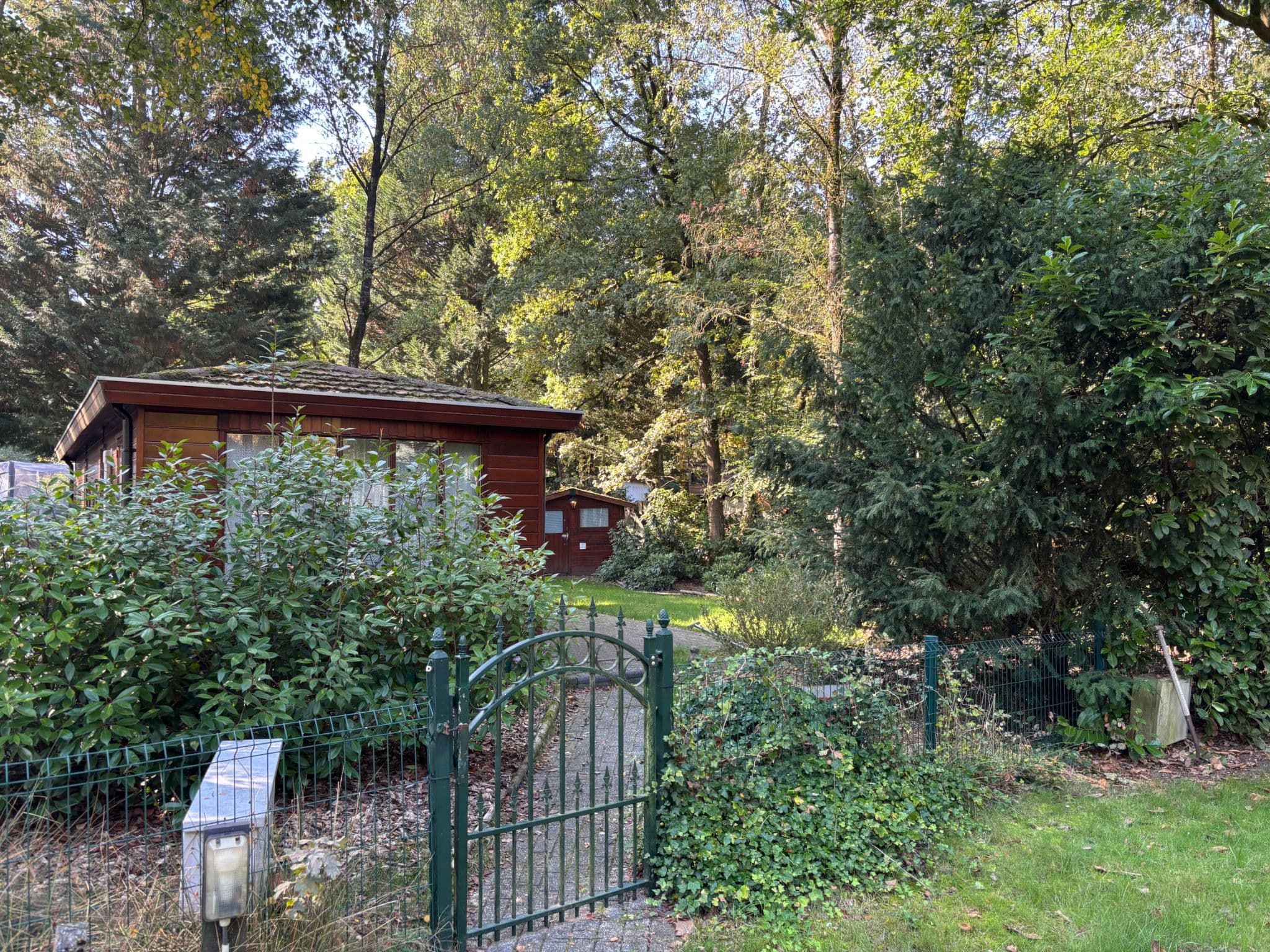 Gallery Image 2