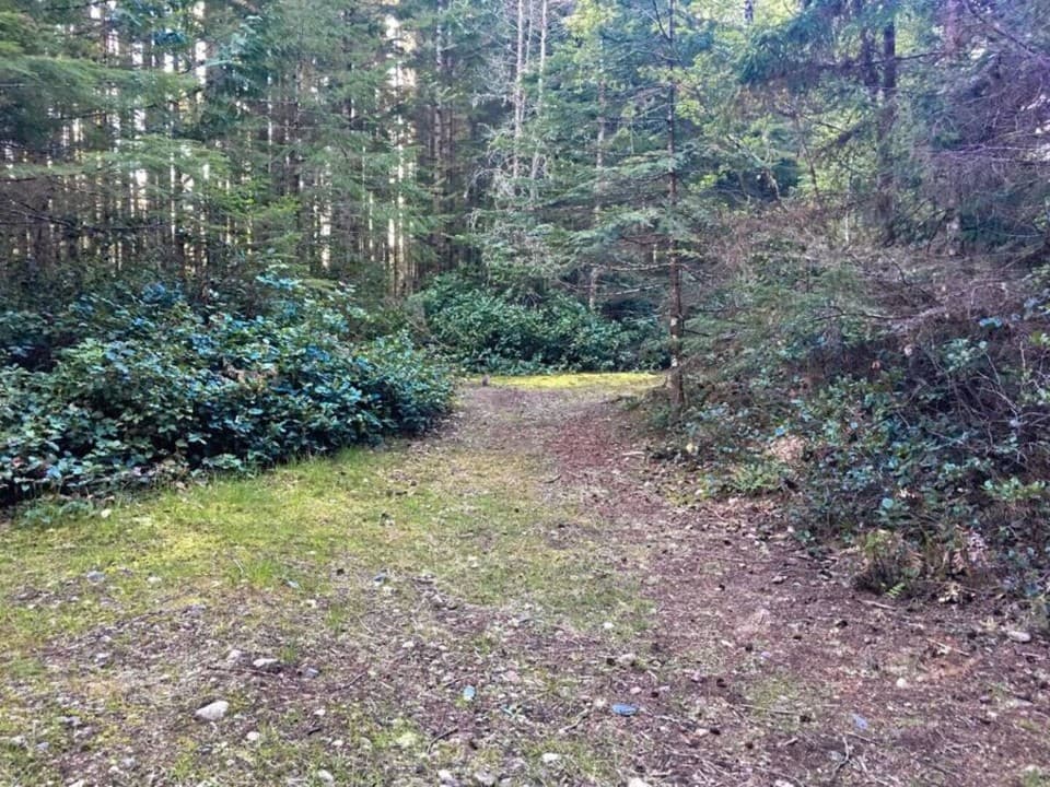 Gallery Image 32