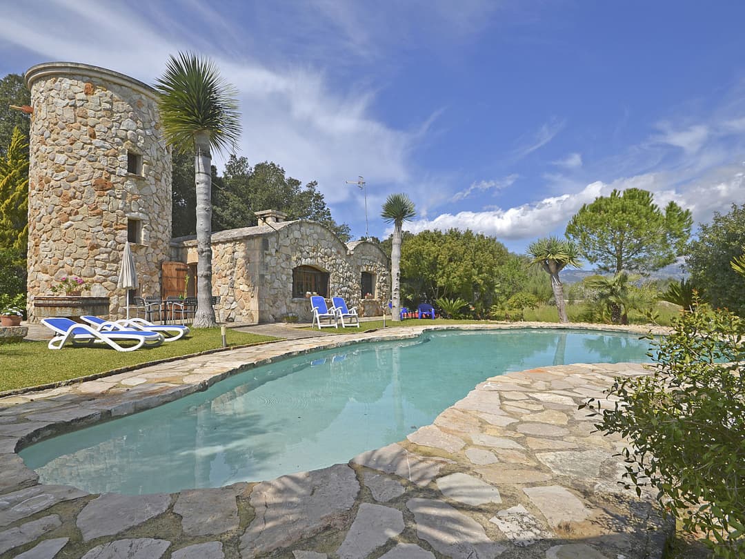 Large Image