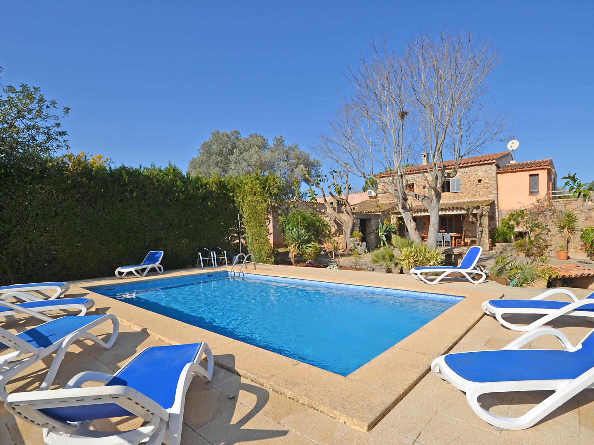 Pool Outdoor