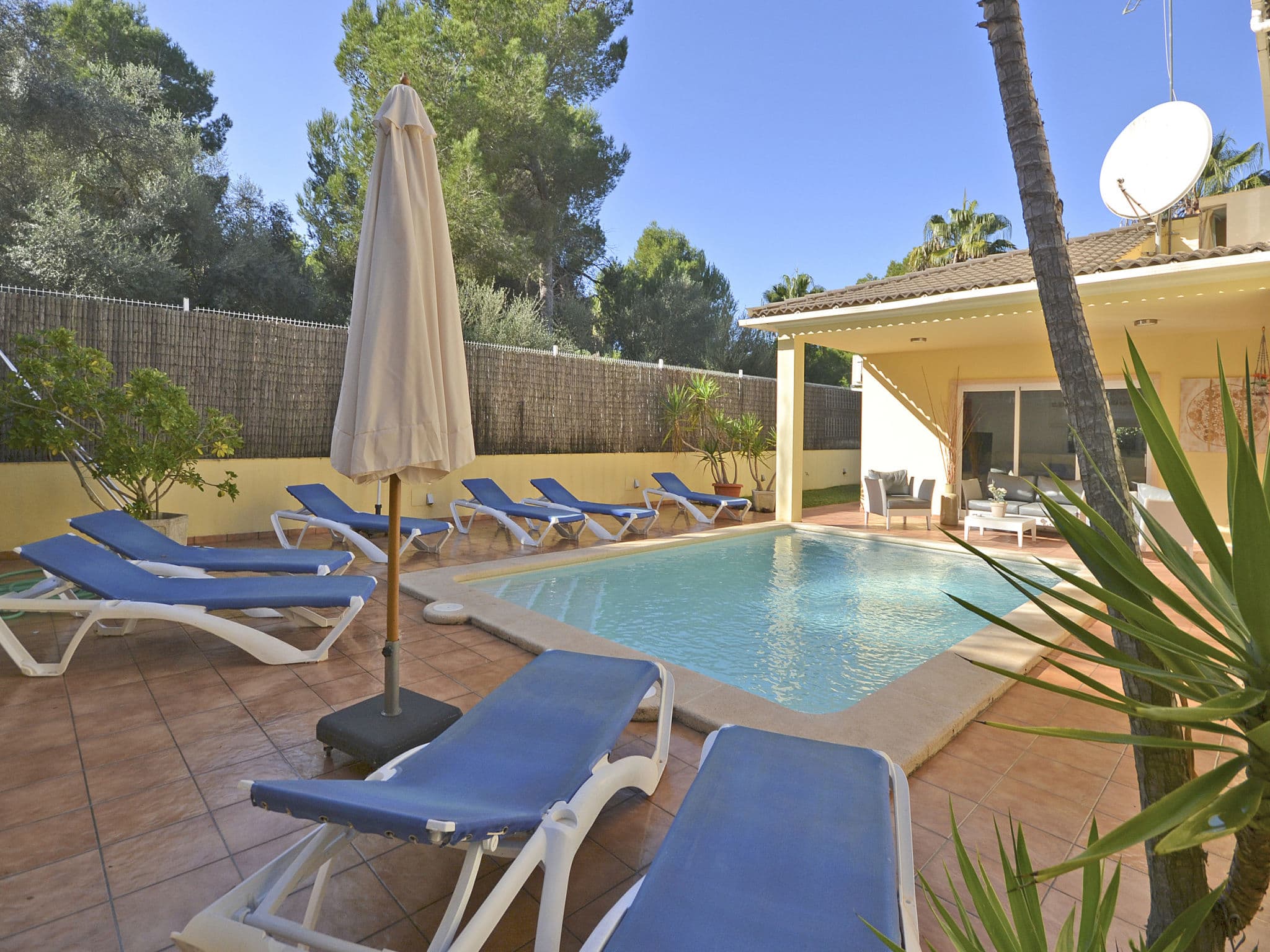 Pool Outdoor