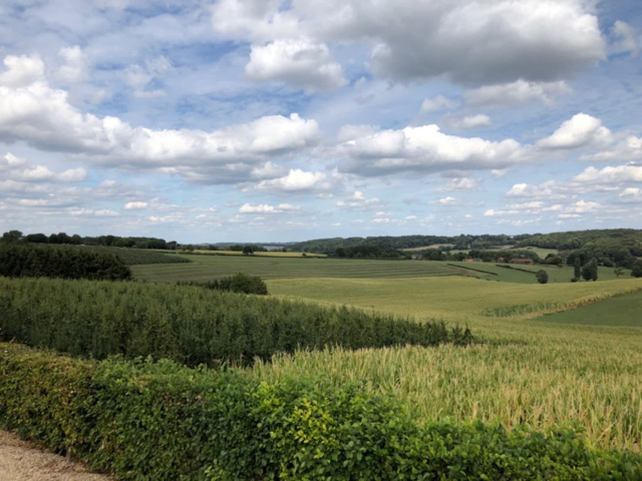 View
