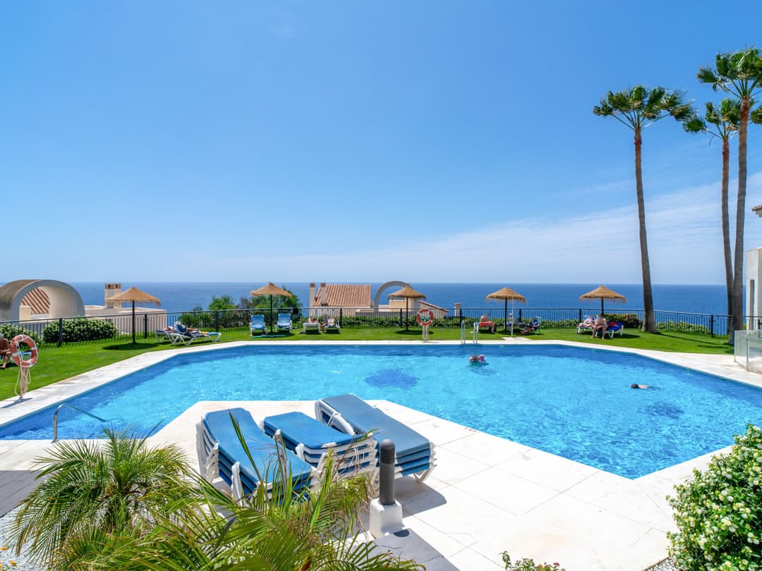 Large Image