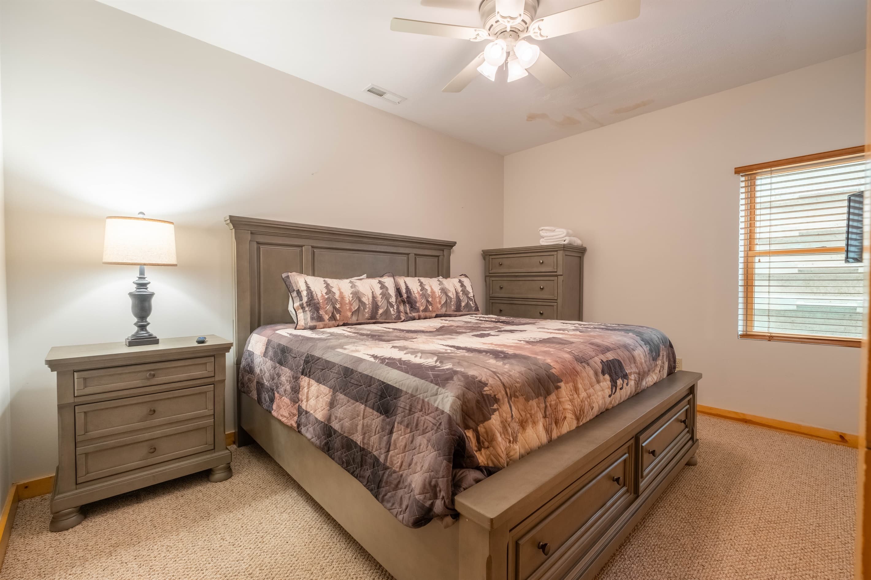 Lower level bedroom
