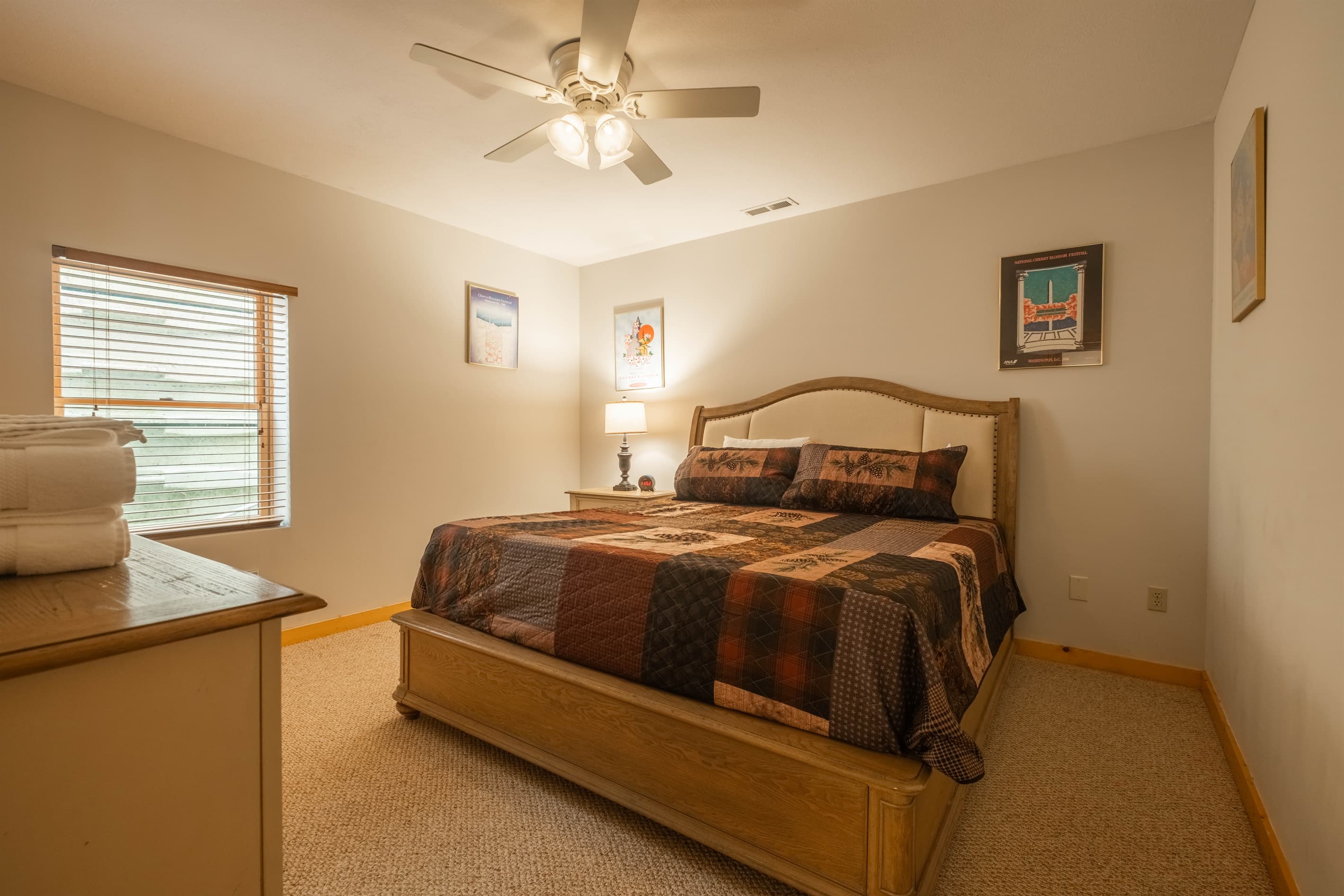 Lower level bedroom