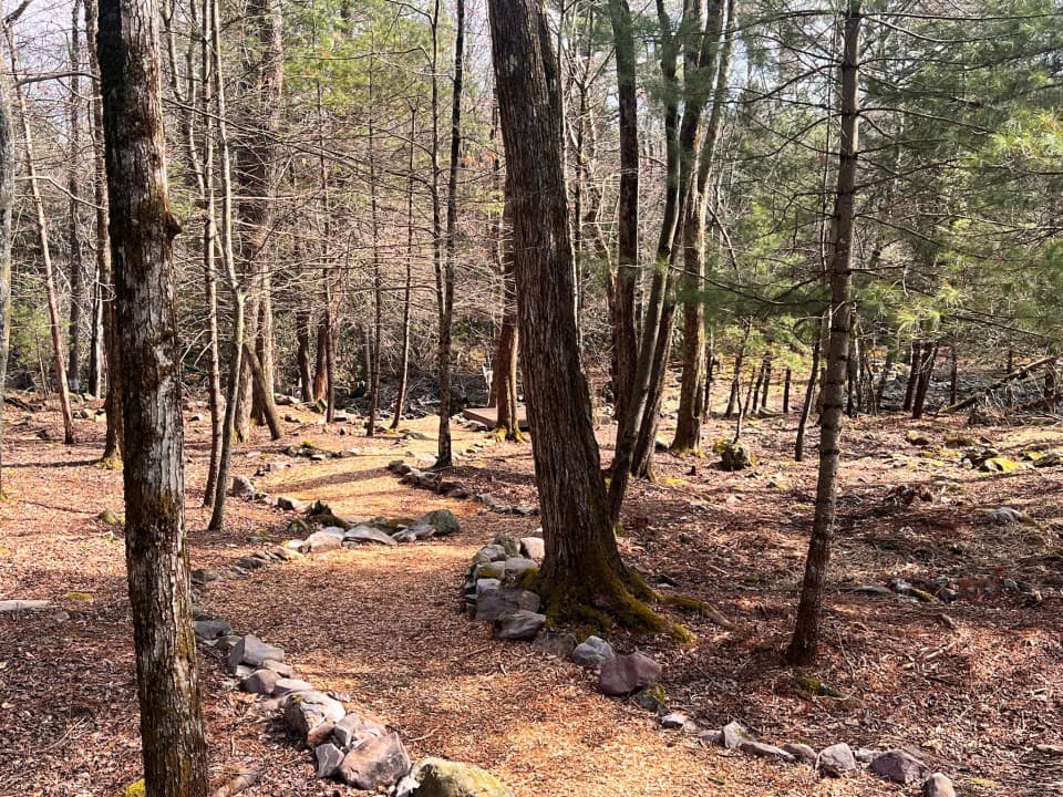 Gallery Image 18