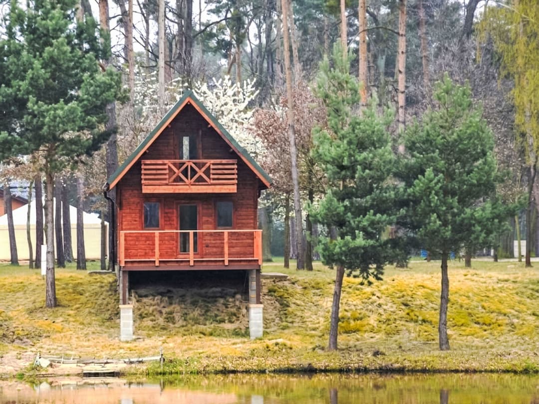 Large Image