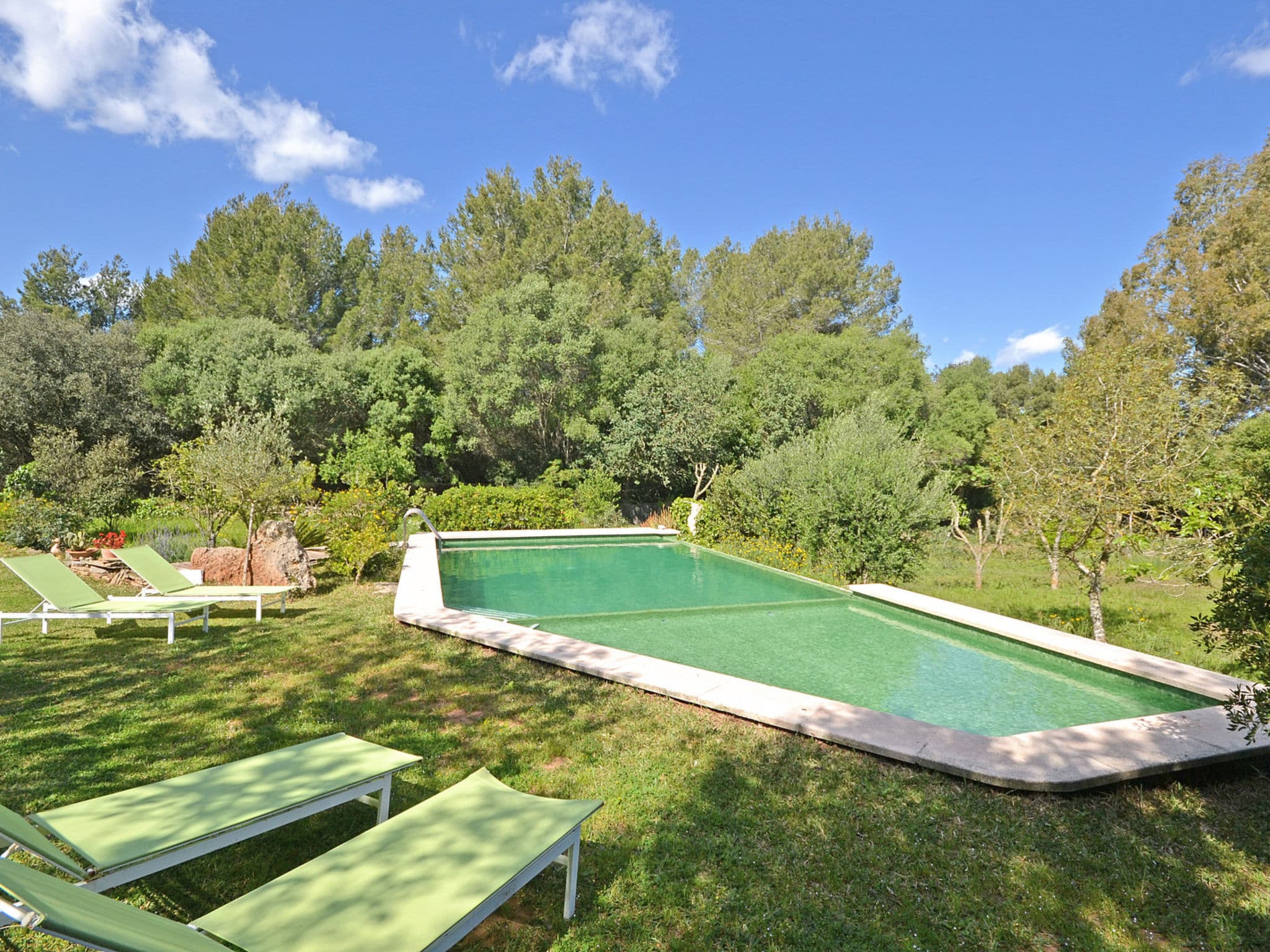 Pool Outdoor