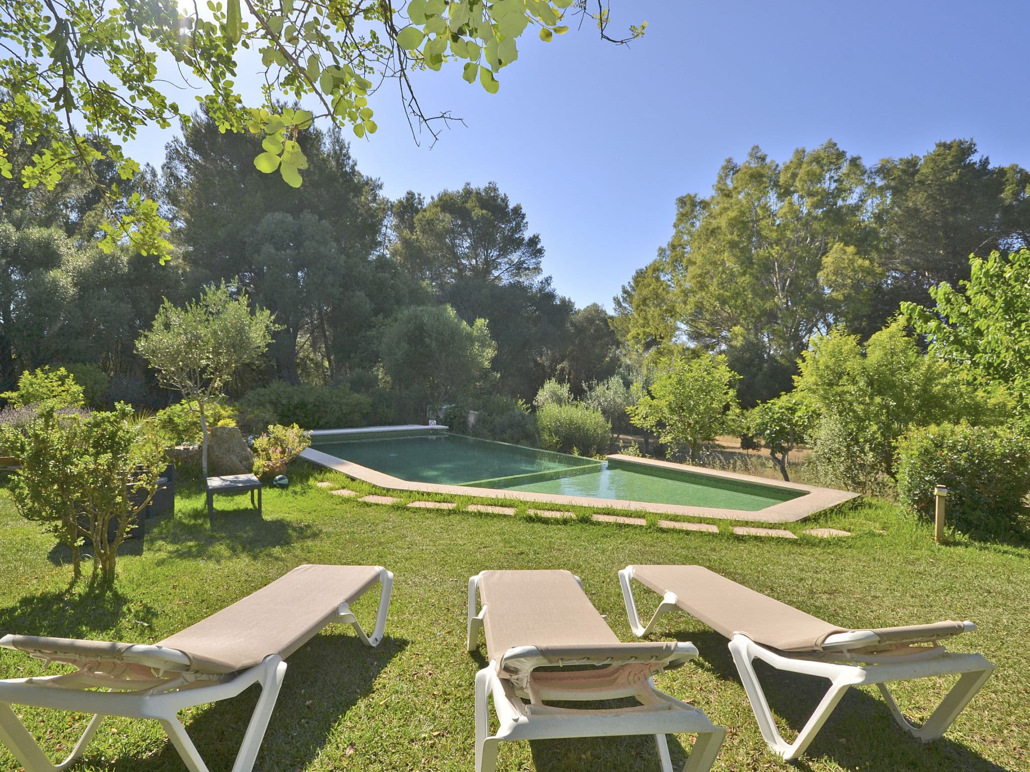 Pool Outdoor