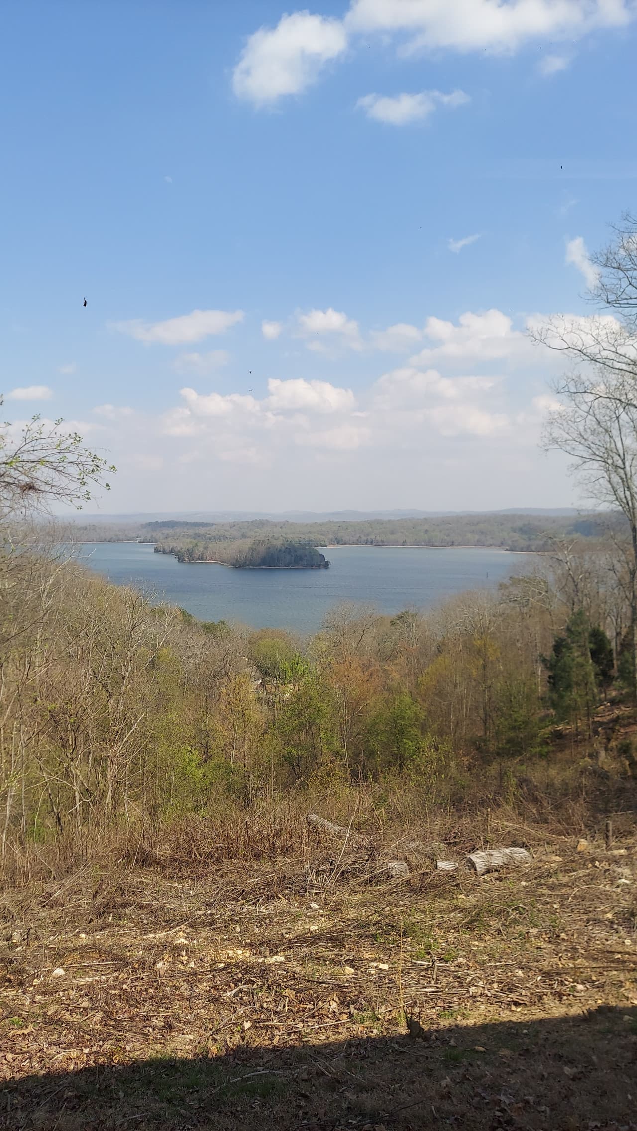 20260326_152626.jpg