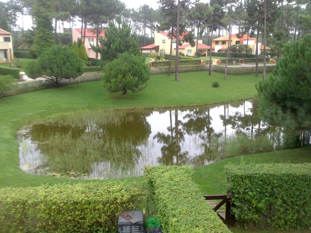 Large Image