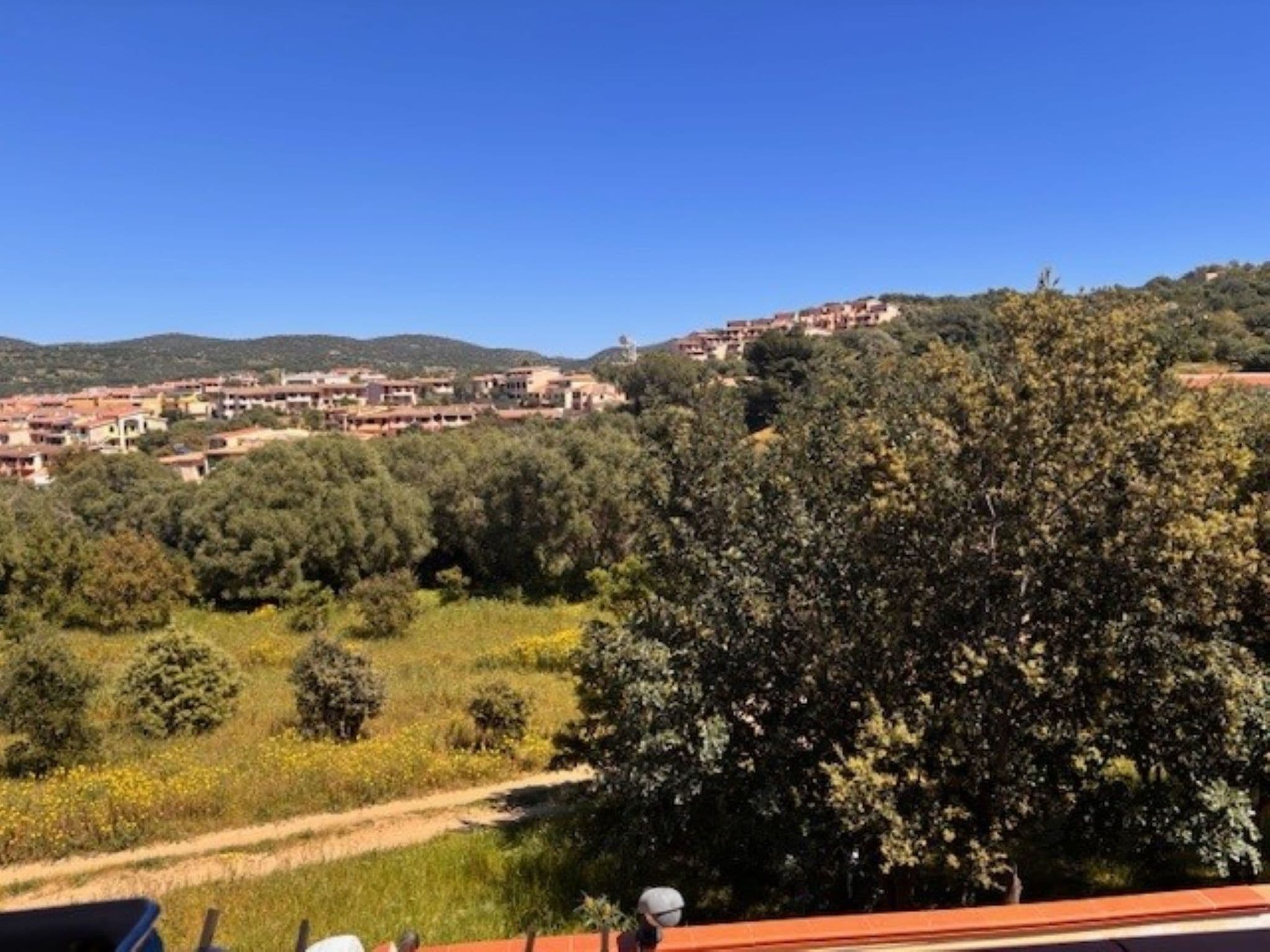 View