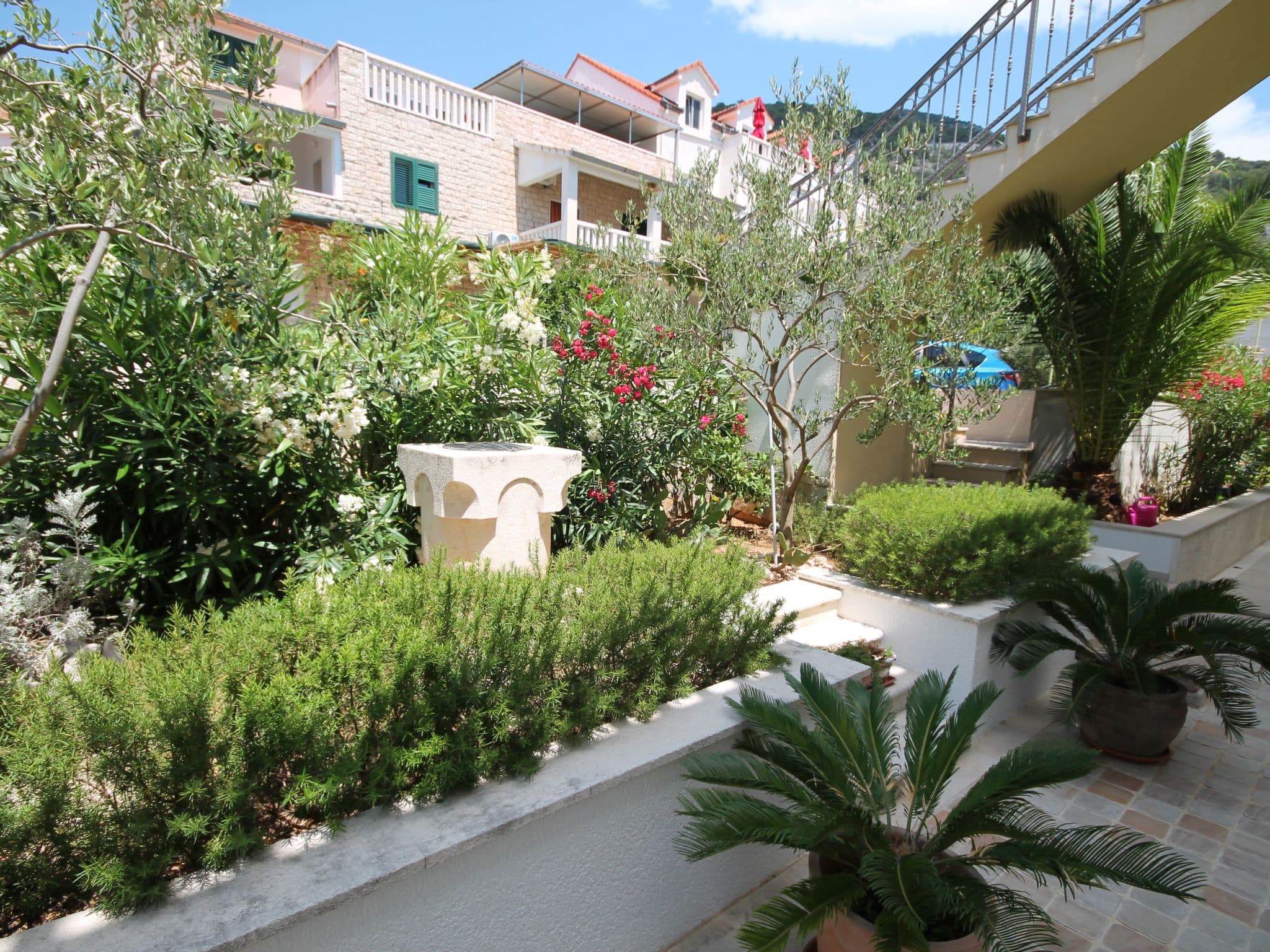 Gallery Image 20
