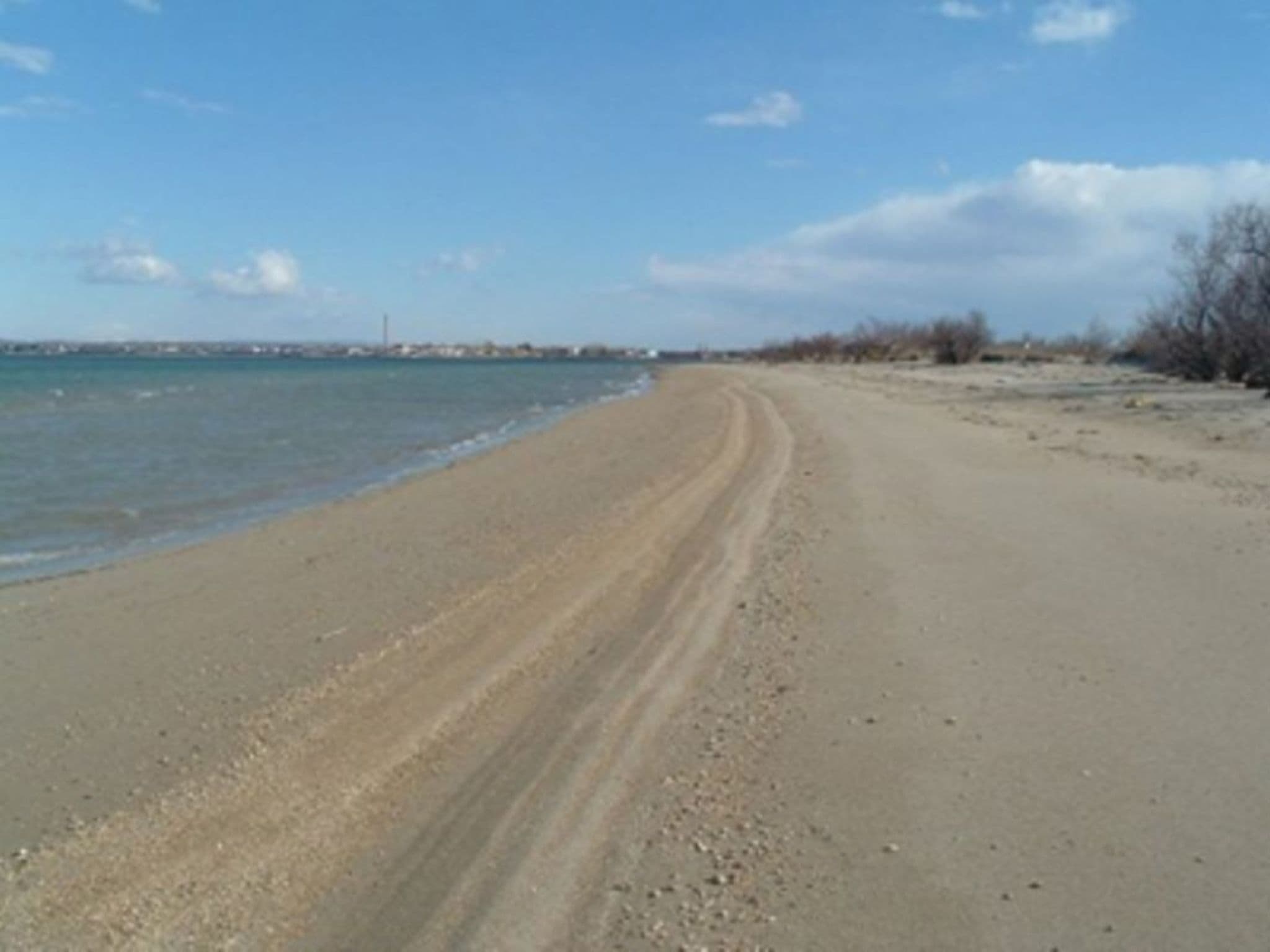 Gallery Image 38