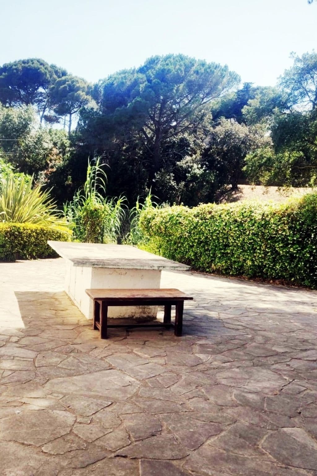 Gallery Image 18