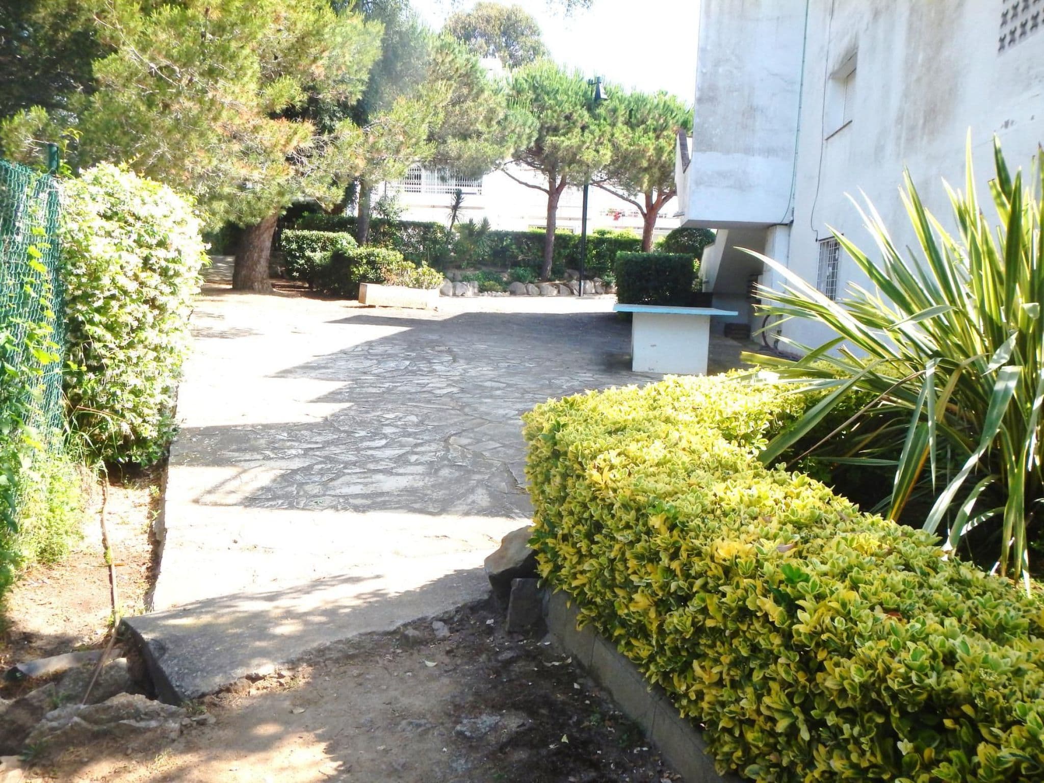Gallery Image 31