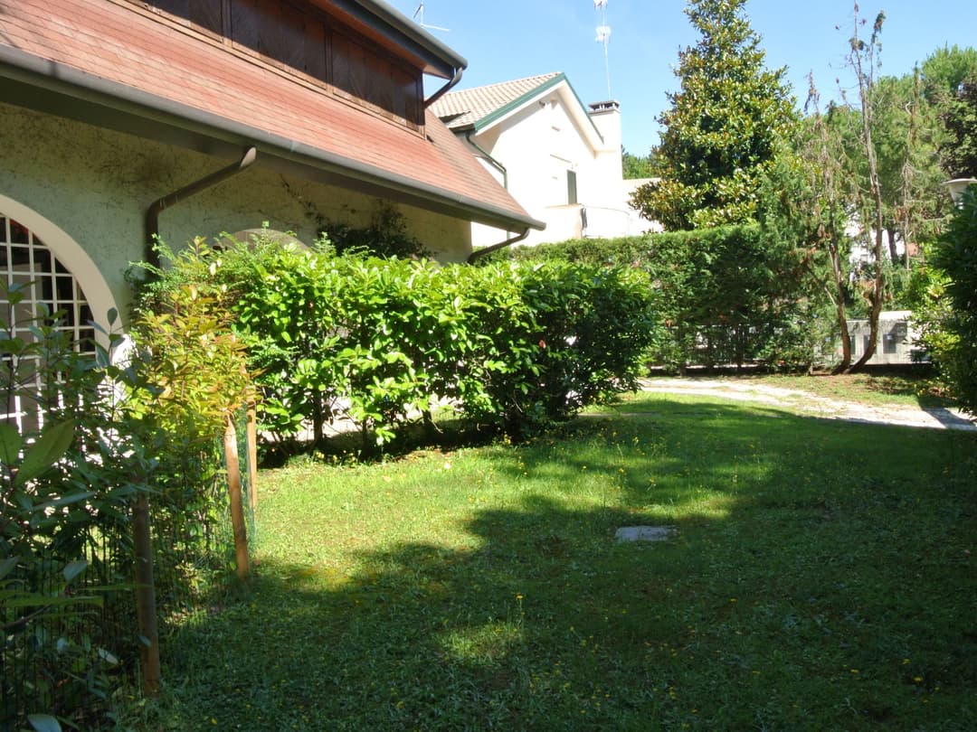 Large Image