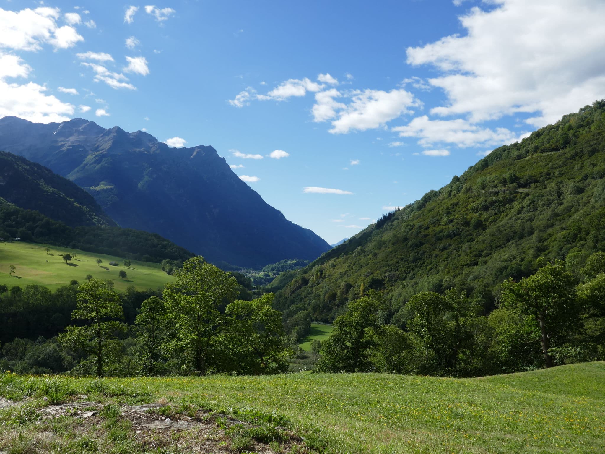 View