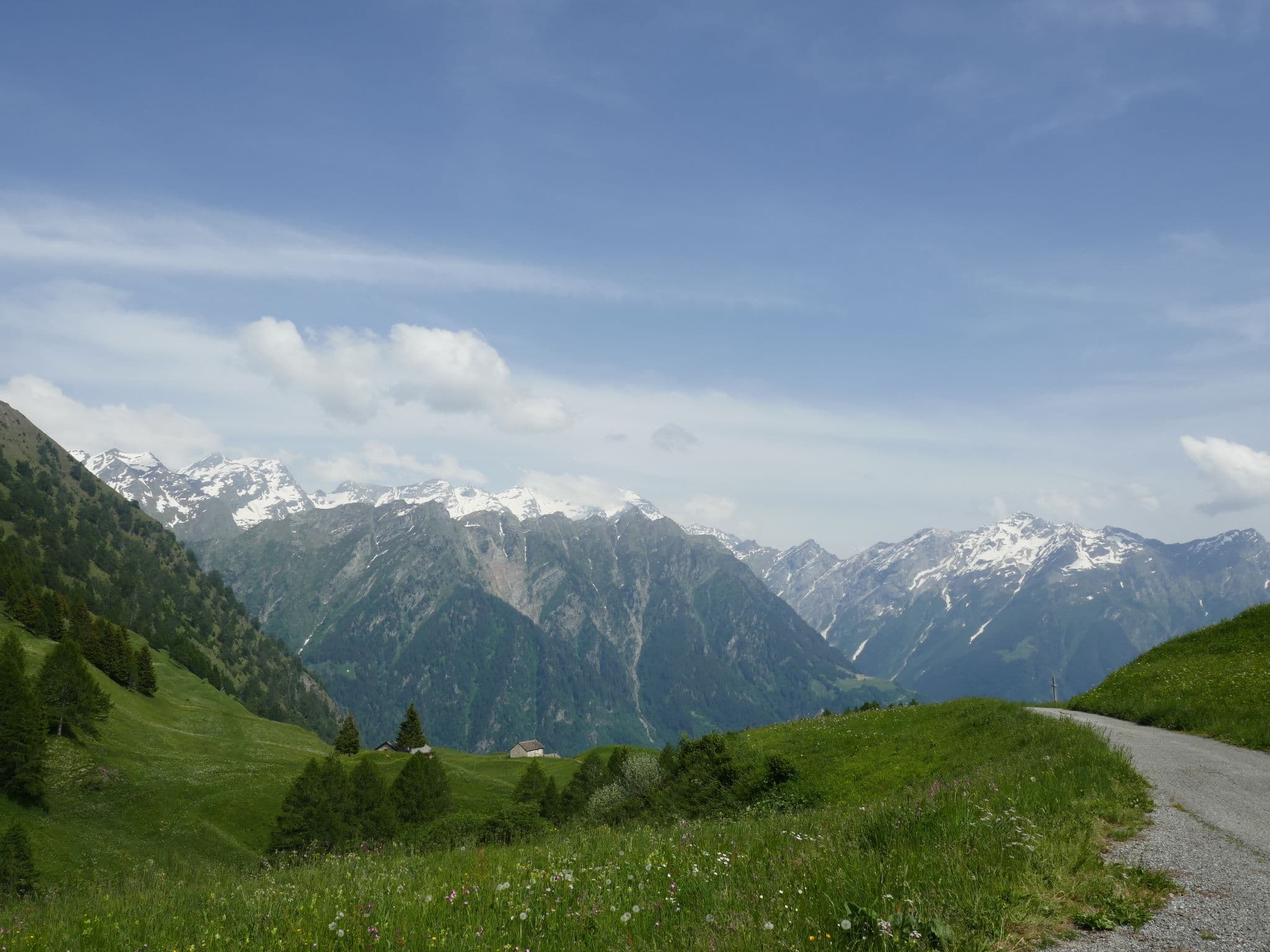 View