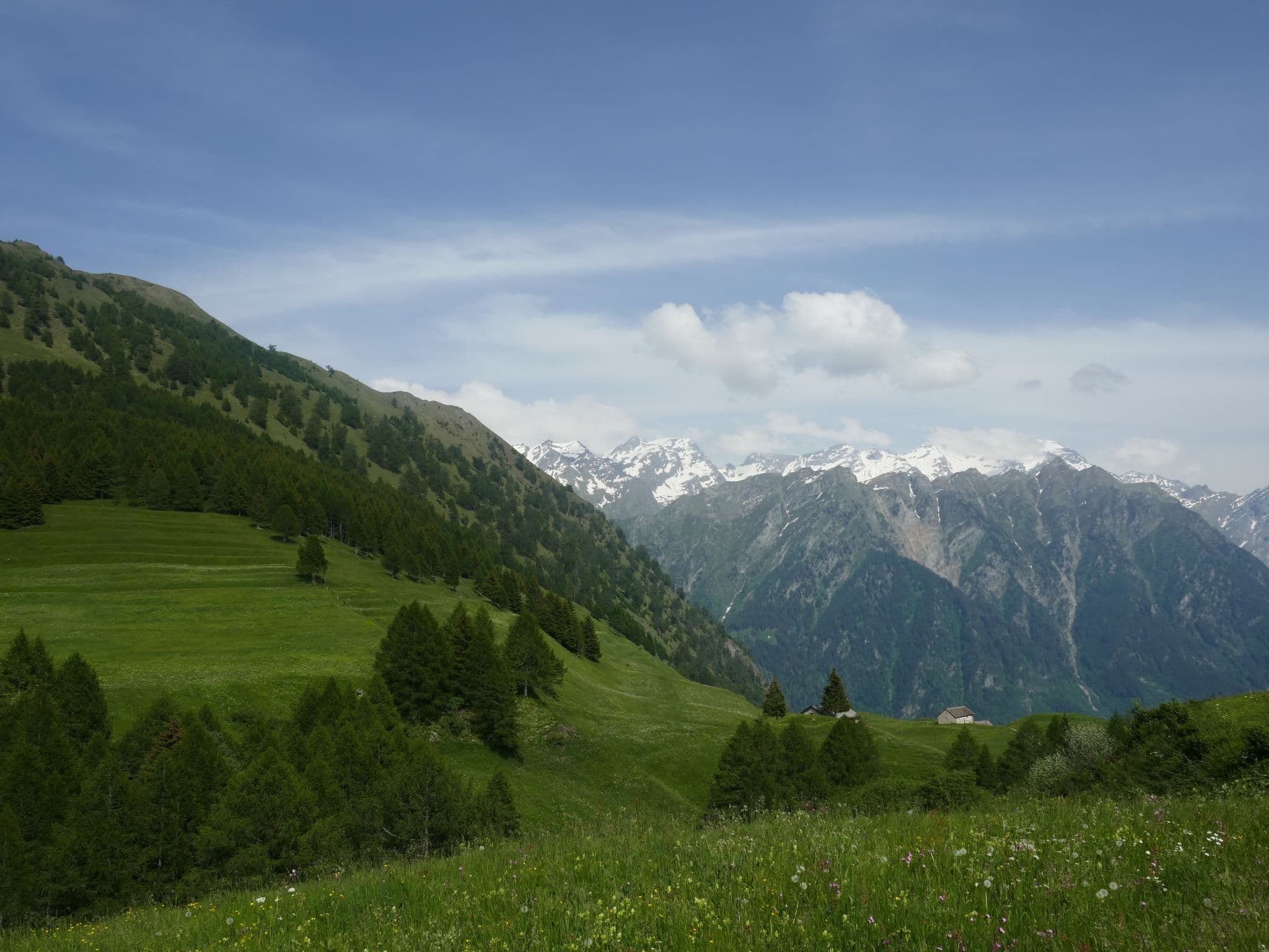 View