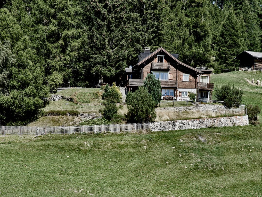 Large Image