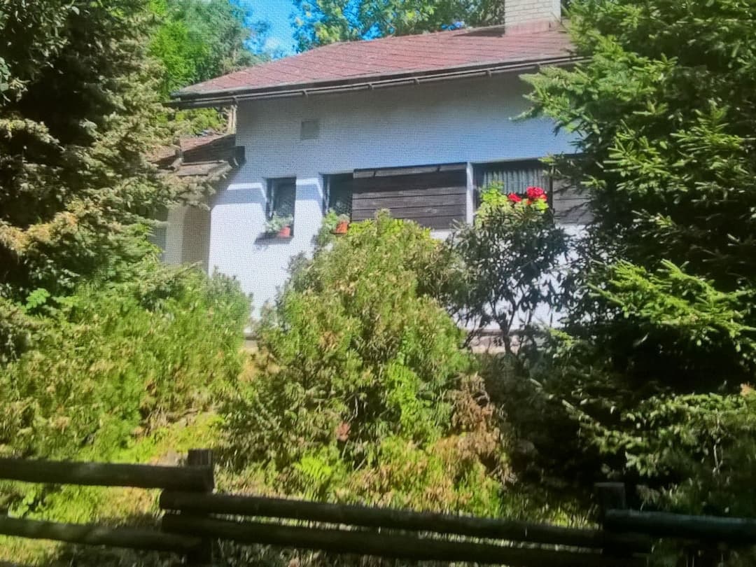 Large Image