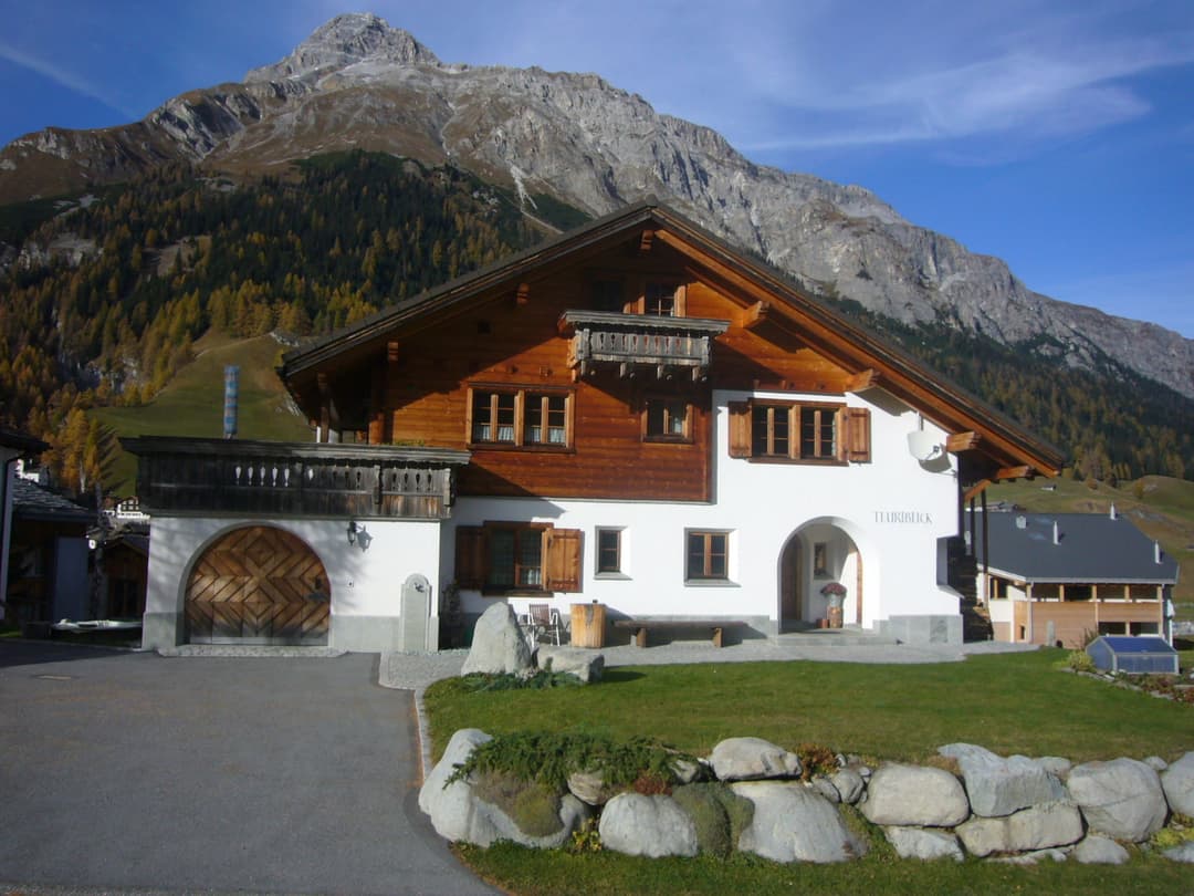 Large Image