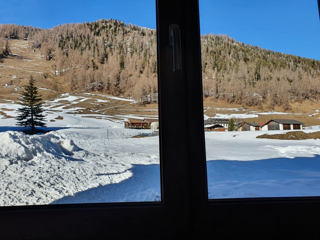 Large Image