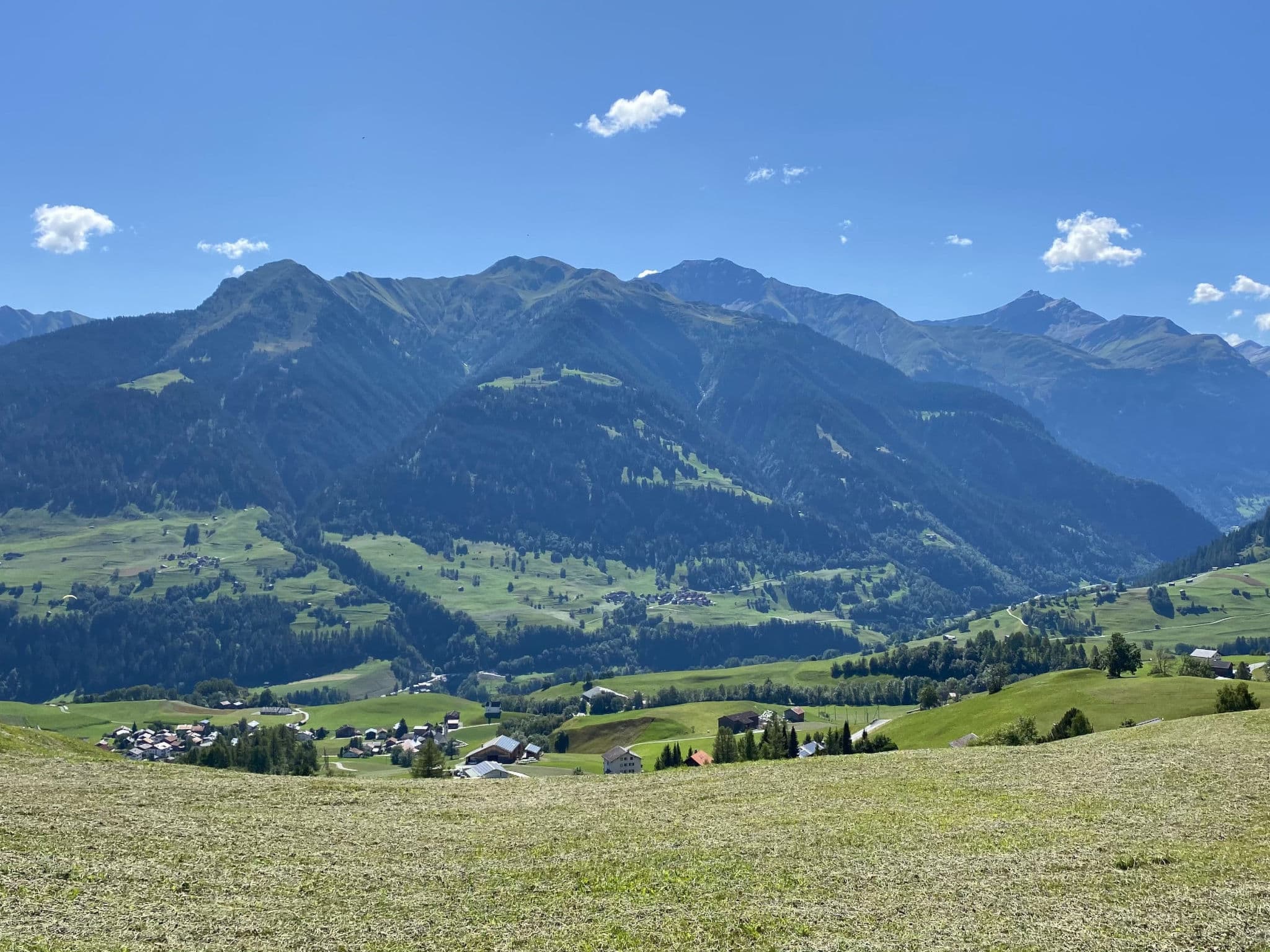 View