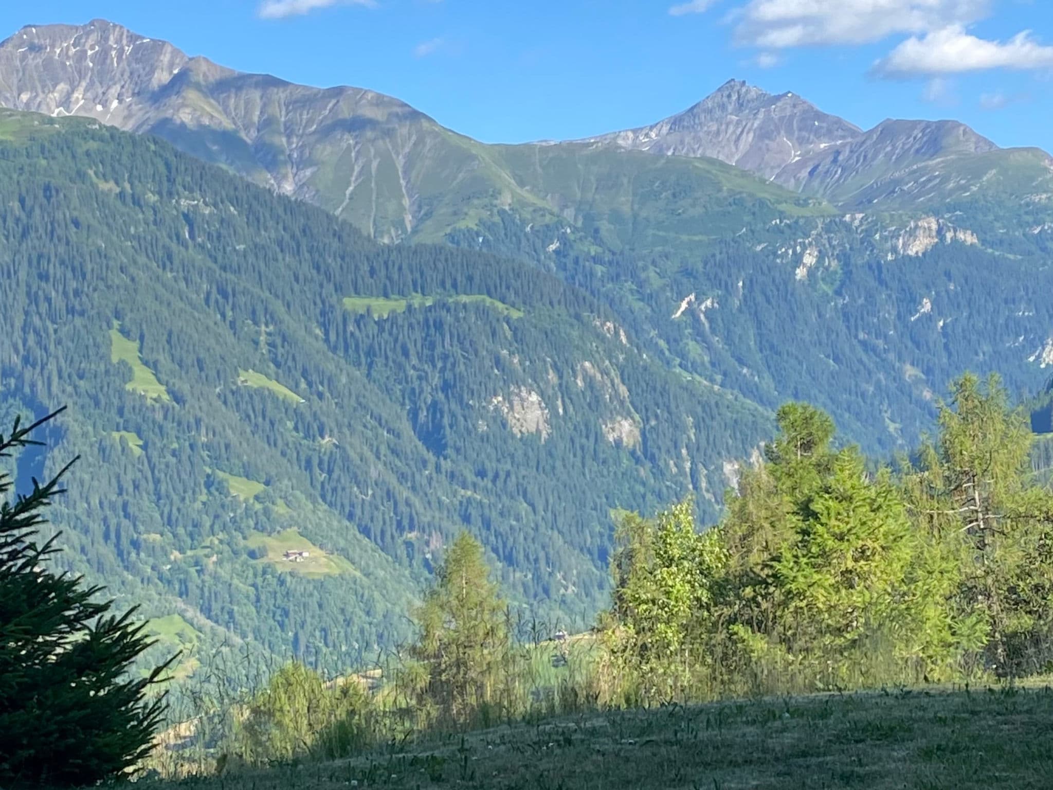 Gallery Image 17
