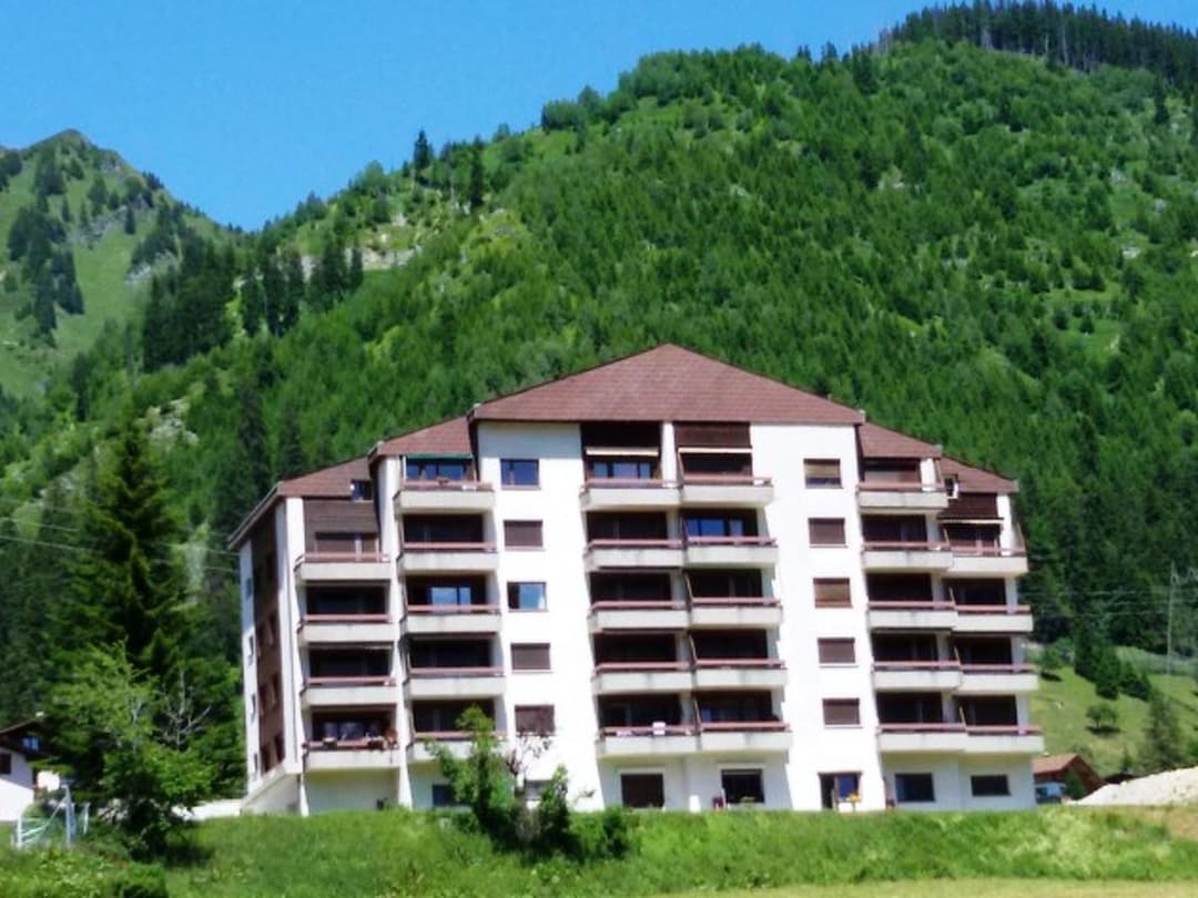 Large Image