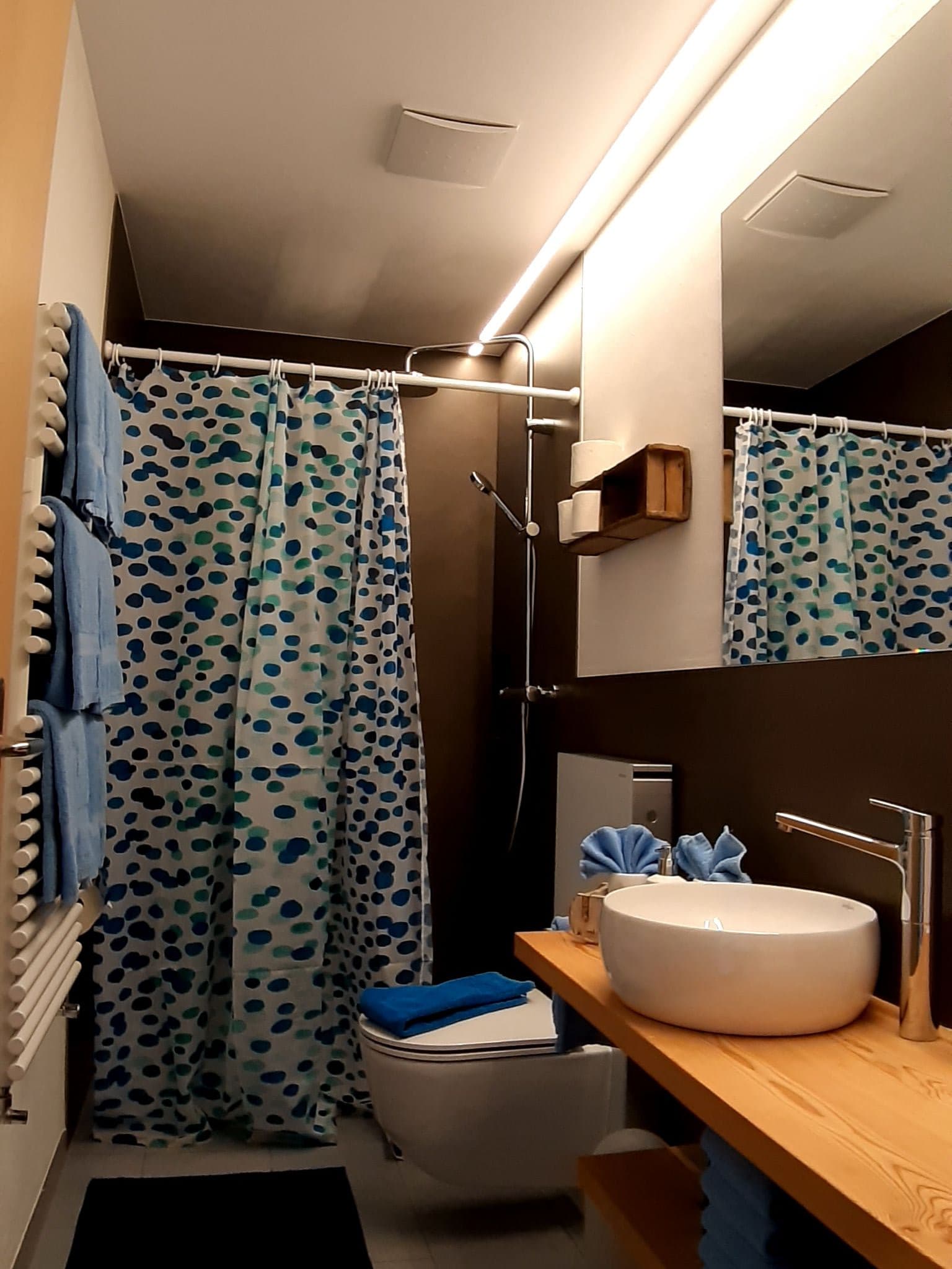 Bathroom / Wellness