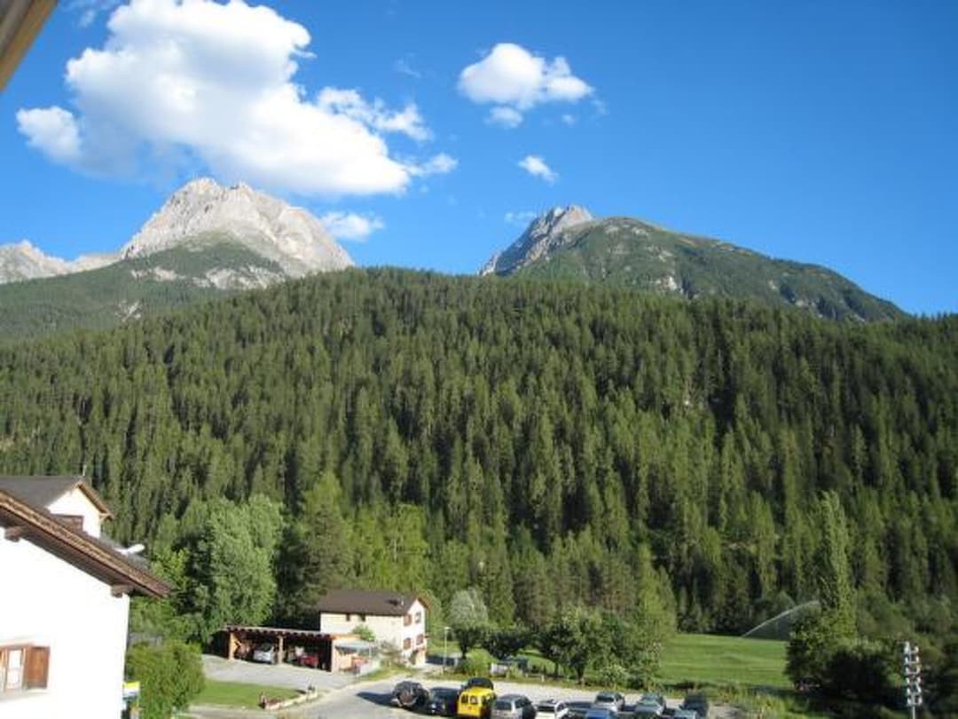 Large Image