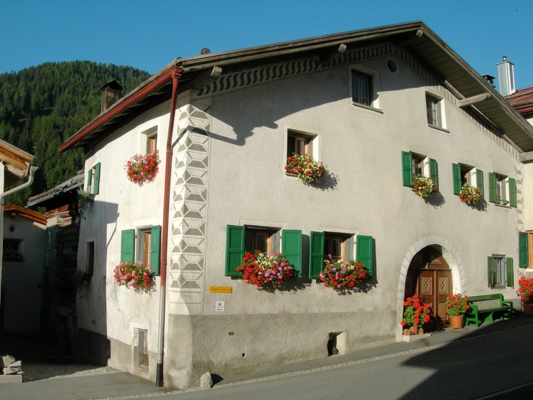 Large Image
