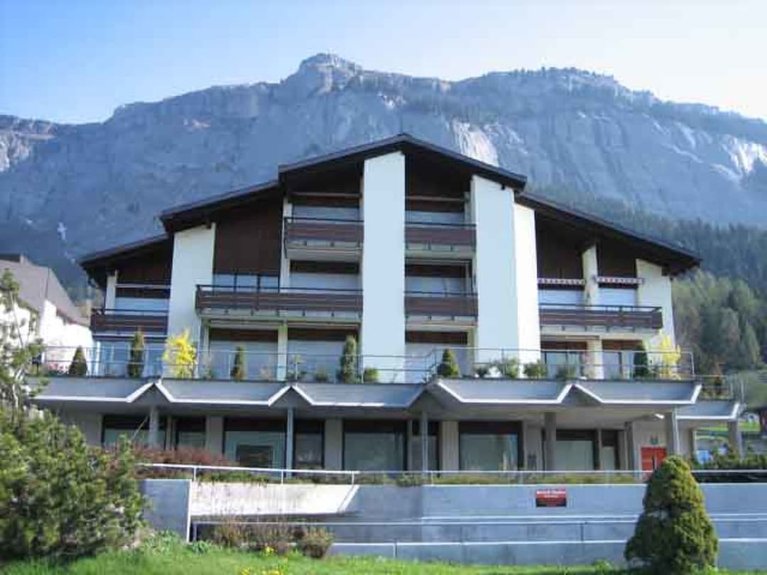 Large Image