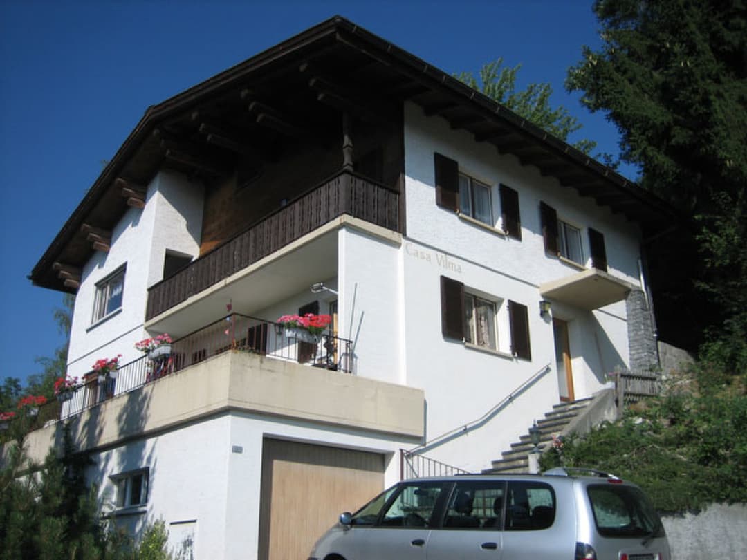 Large Image
