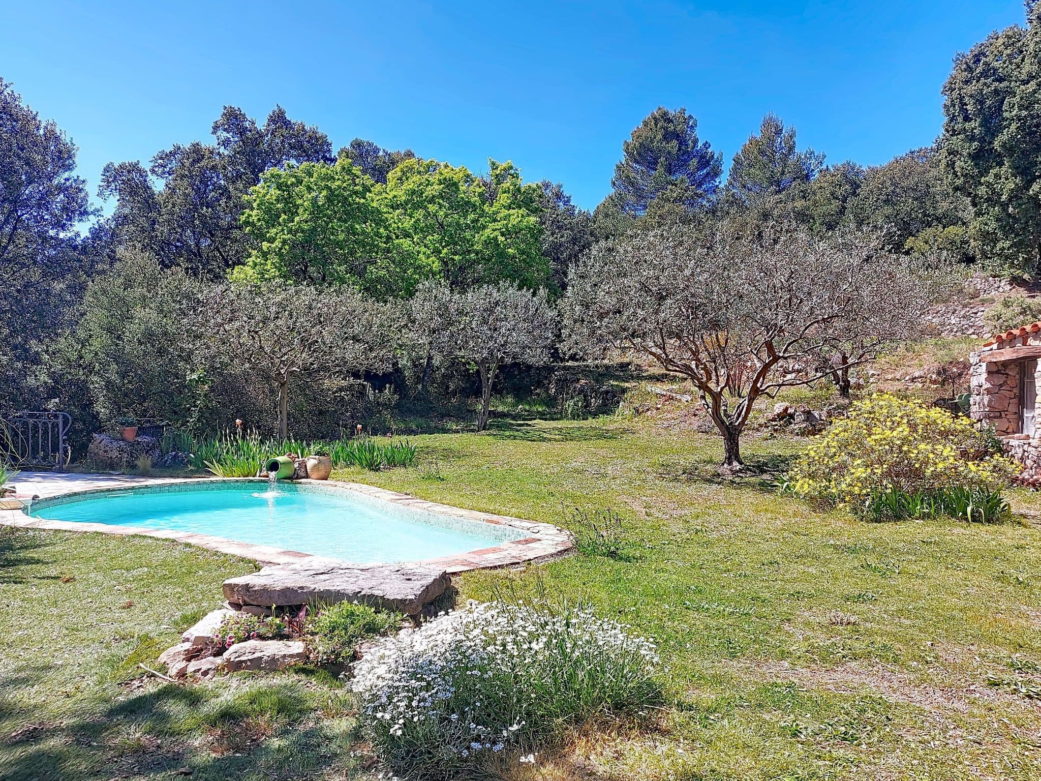 Pool Outdoor