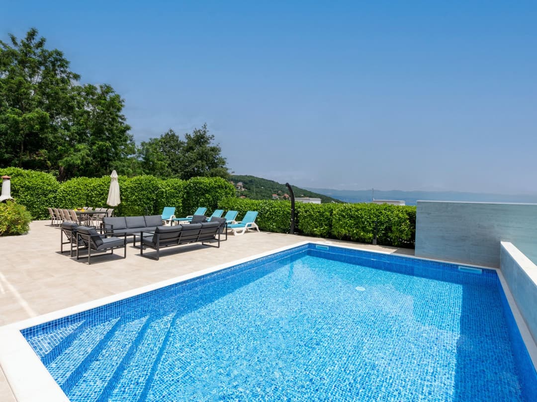 Large Image