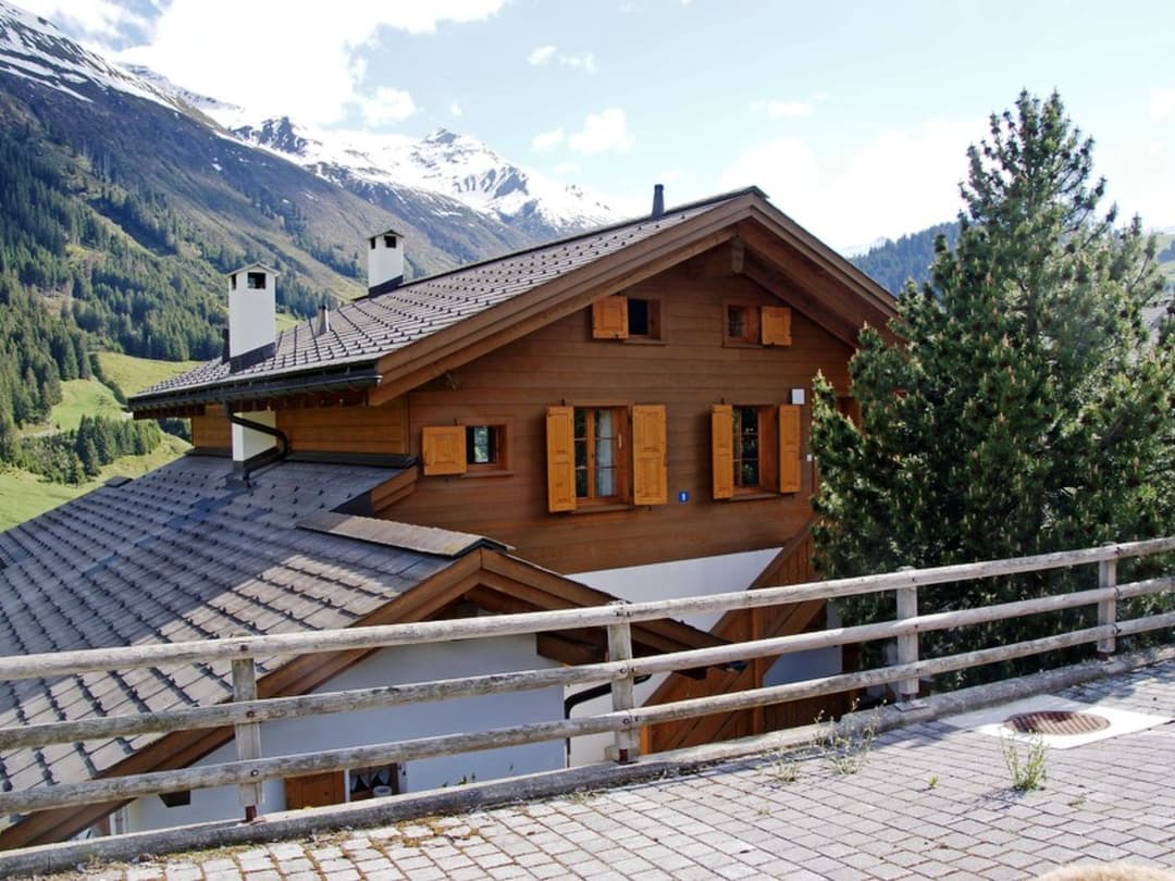 Large Image