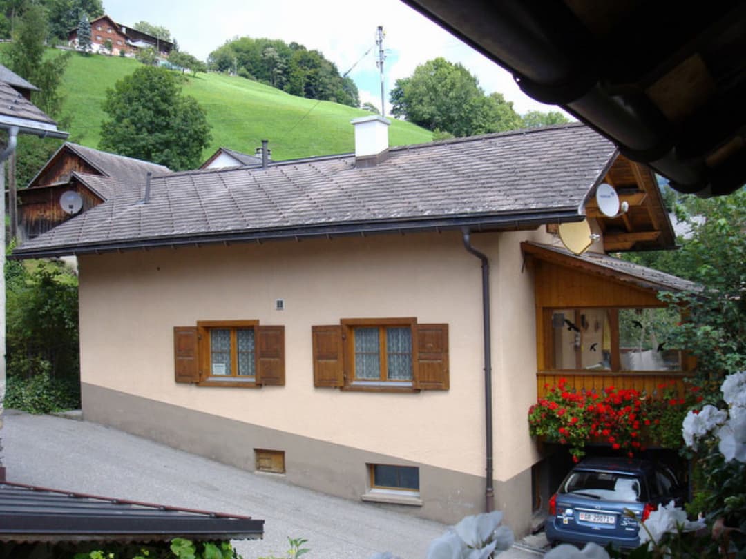 Large Image