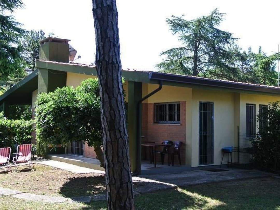 Large Image