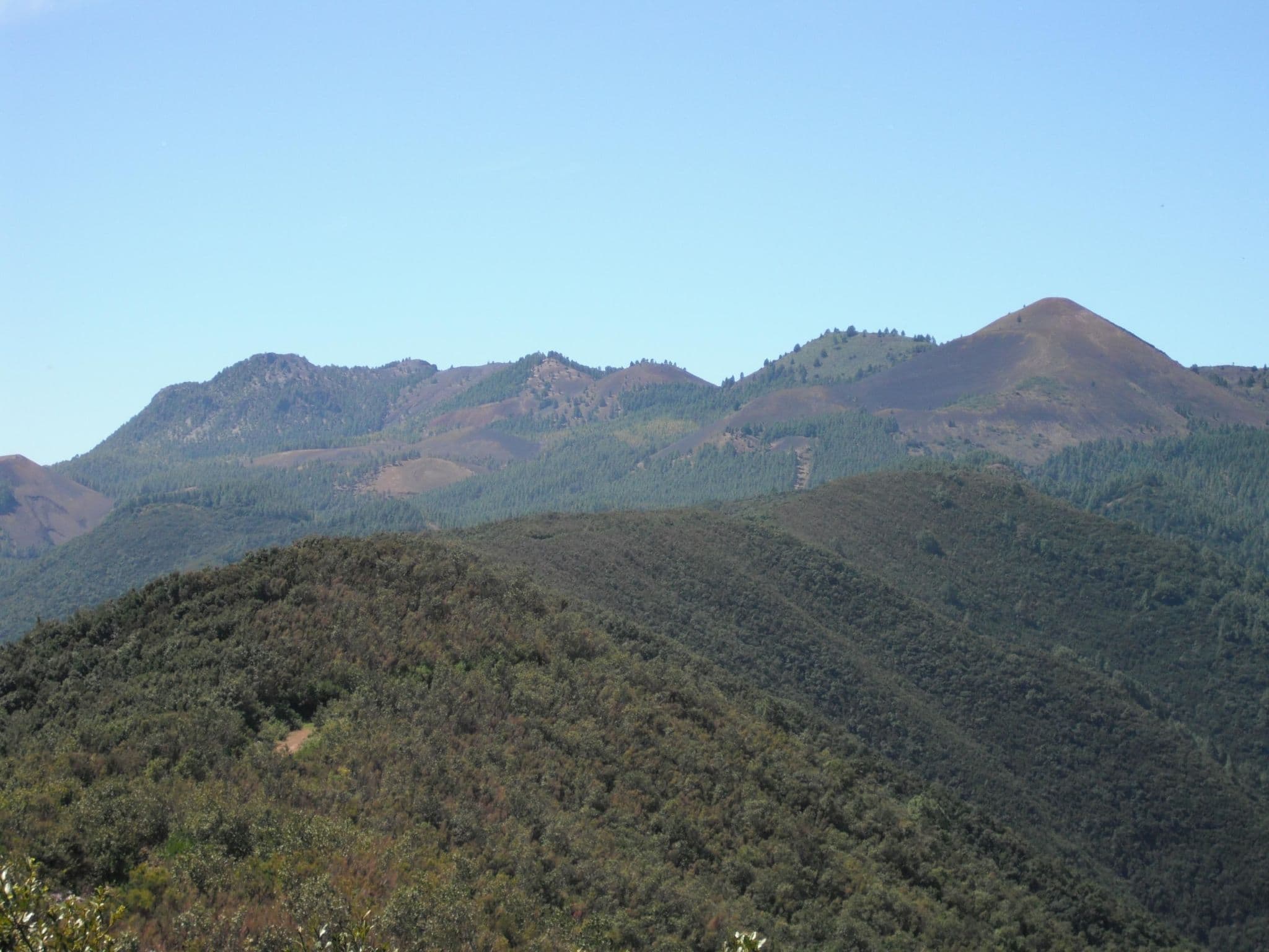 Gallery Image 29